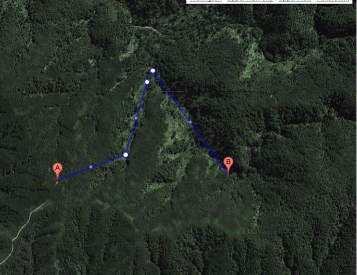 Name:  Good hunting spot - hutt water catchment.jpg
Views: 962
Size:  65.8 KB