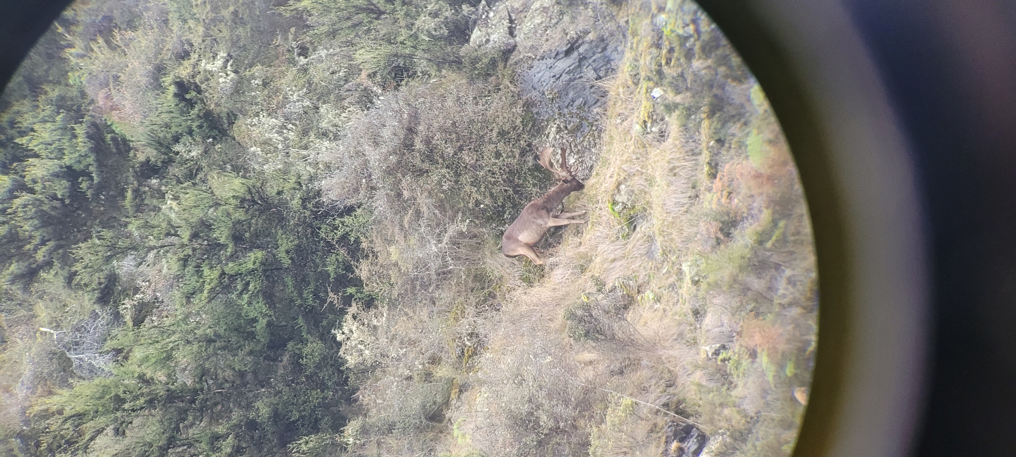 Name:  20230525_161332.jpg
Views: 747
Size:  2.55 MB