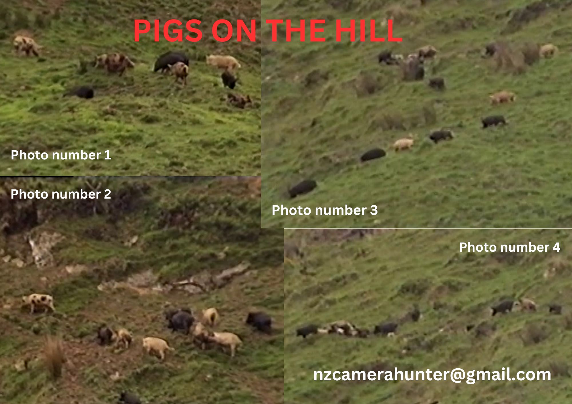 Name:  =-p0oiujhgfcx.jpg
Views: 835
Size:  273.7 KB