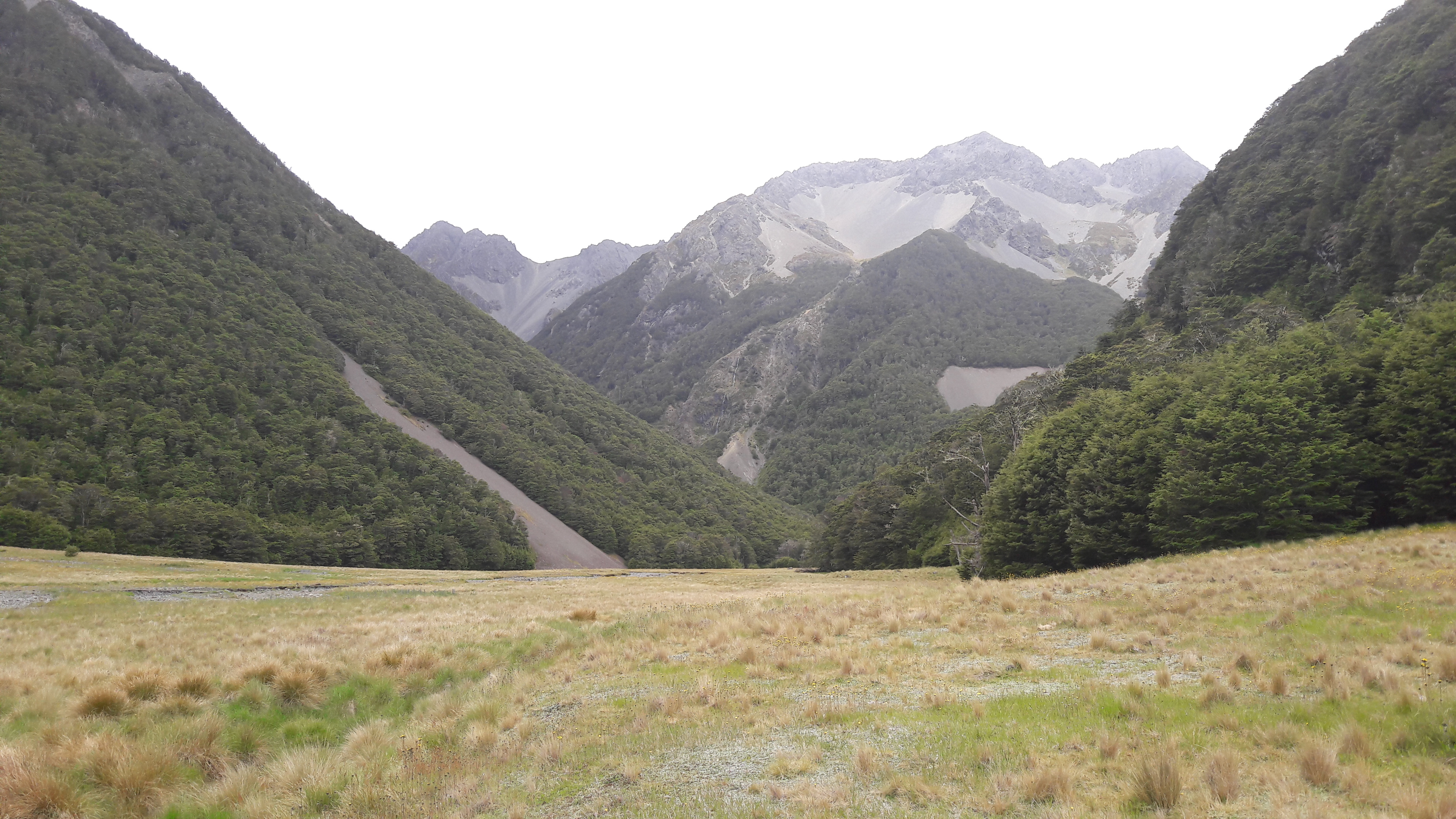 https://www.nzhuntingandshooting.co.nz/attachments/f12/226098-lees-creek-20161227_164412.jpg