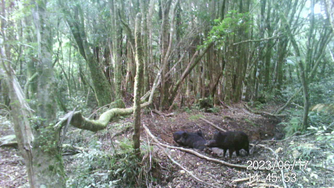 Name:  IMAG0095 - frame at 0m0s.jpg
Views: 213
Size:  198.4 KB