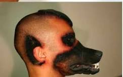 Name:  dogs nose.jpg
Views: 204
Size:  4.9 KB