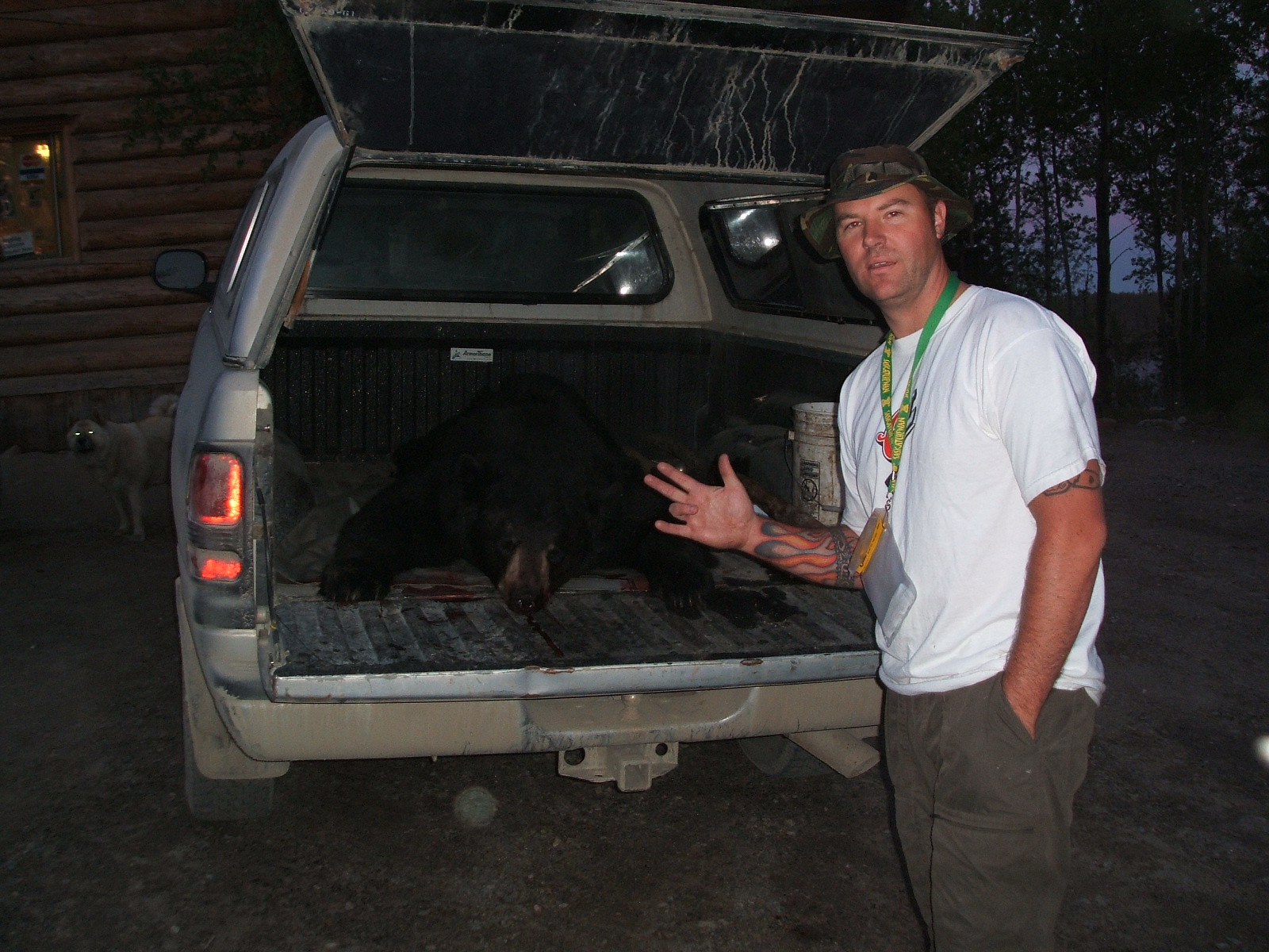 Name:  bear.JPG
Views: 562
Size:  587.0 KB