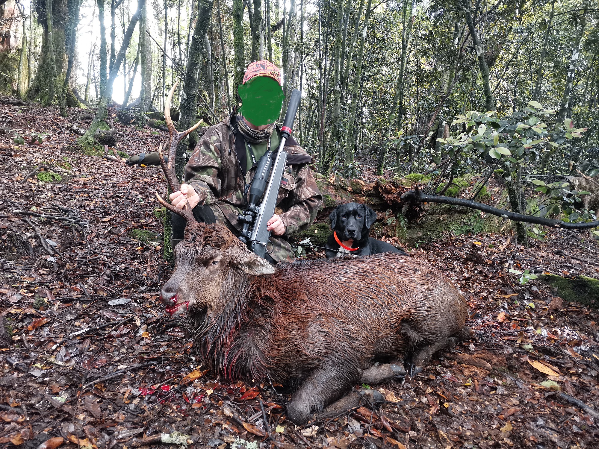 Name:  dog and OneAntler.jpg
Views: 583
Size:  2.20 MB