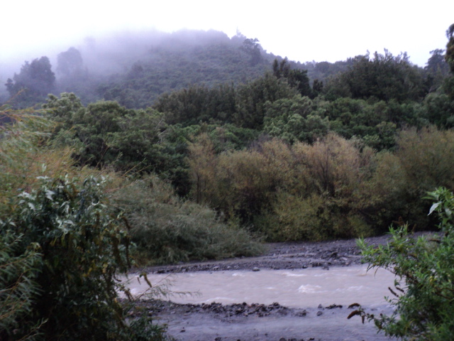 Name:  picture 3464.jpg
Views: 489
Size:  163.0 KB