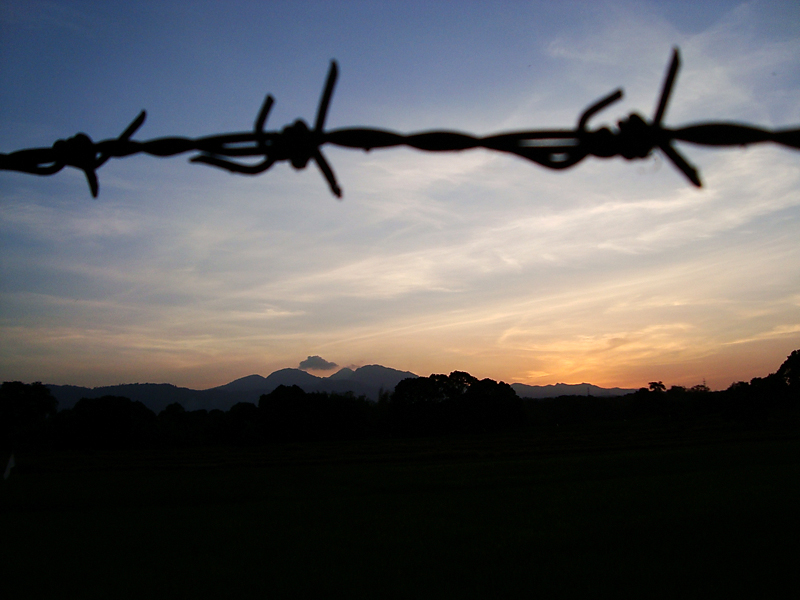 Name:  barb-wire.jpg
Views: 642
Size:  319.1 KB
