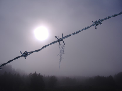 Name:  barbed-wire.jpg
Views: 641
Size:  15.7 KB