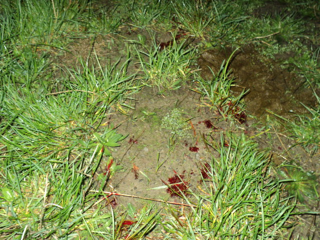 Name:  picture 3482.jpg
Views: 635
Size:  163.8 KB