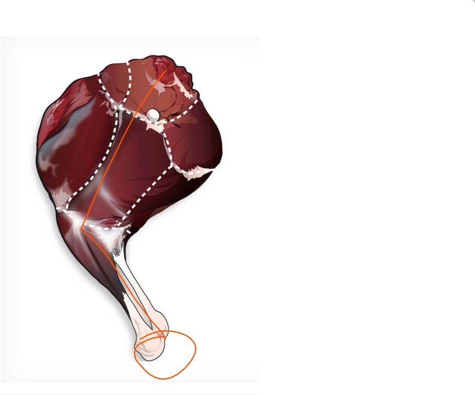 Name:  deer leg skinning.jpg
Views: 660
Size:  57.4 KB