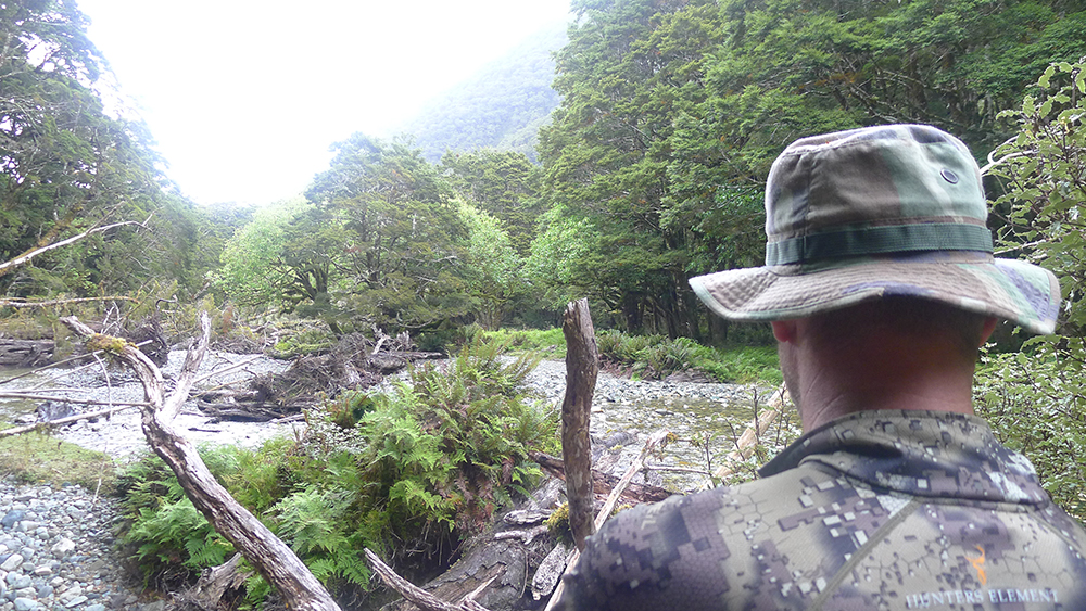 Name:  P1020496.JPG
Views: 466
Size:  726.2 KB
