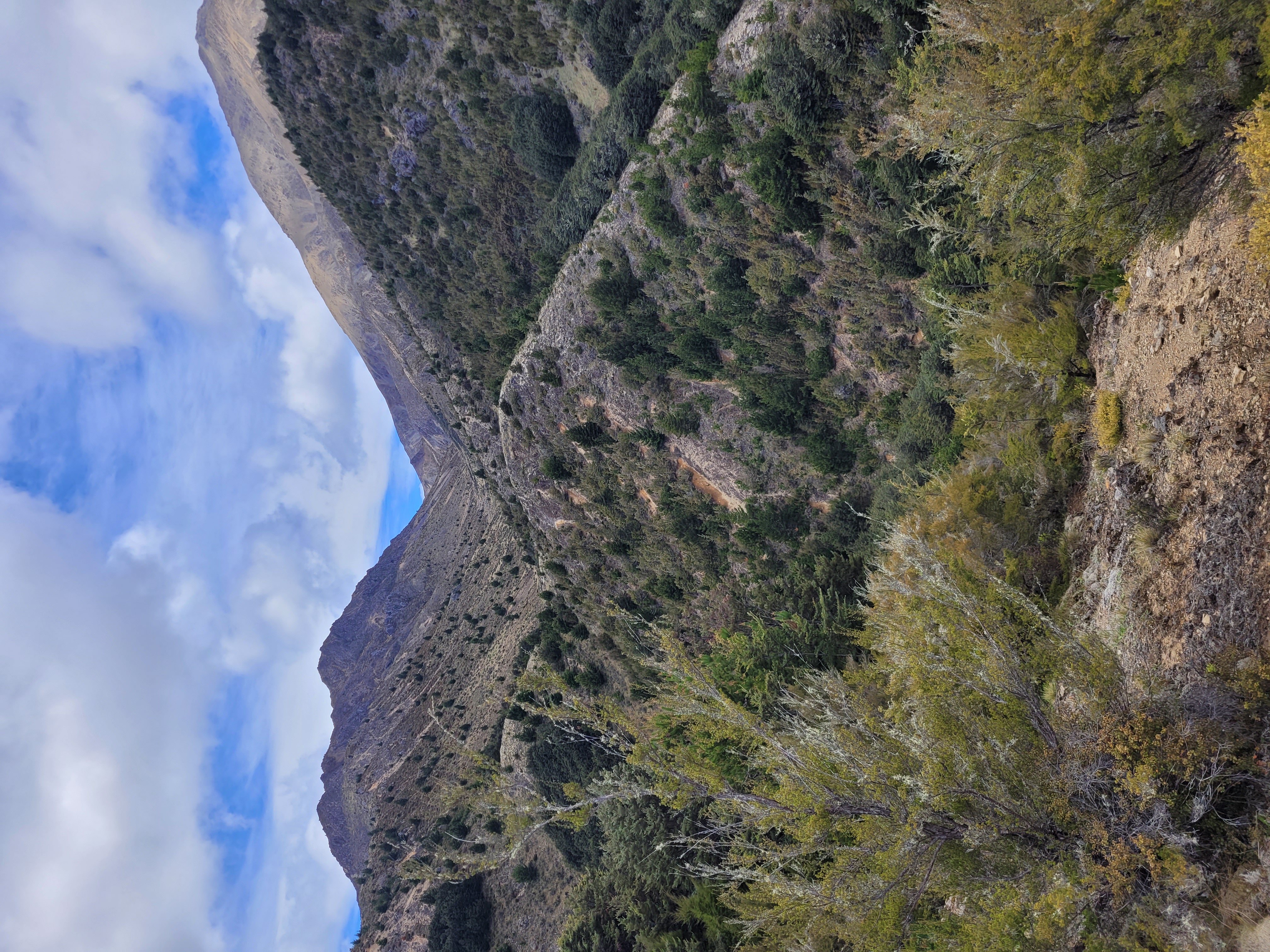 Name:  20231115_140013[1].jpg
Views: 371
Size:  4.77 MB