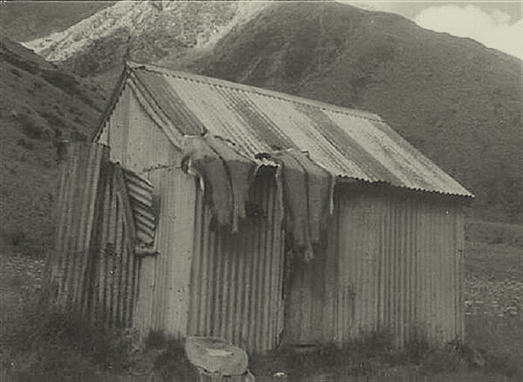 Name:  HUTS (16) (Custom) (Custom).jpg
Views: 310
Size:  122.4 KB