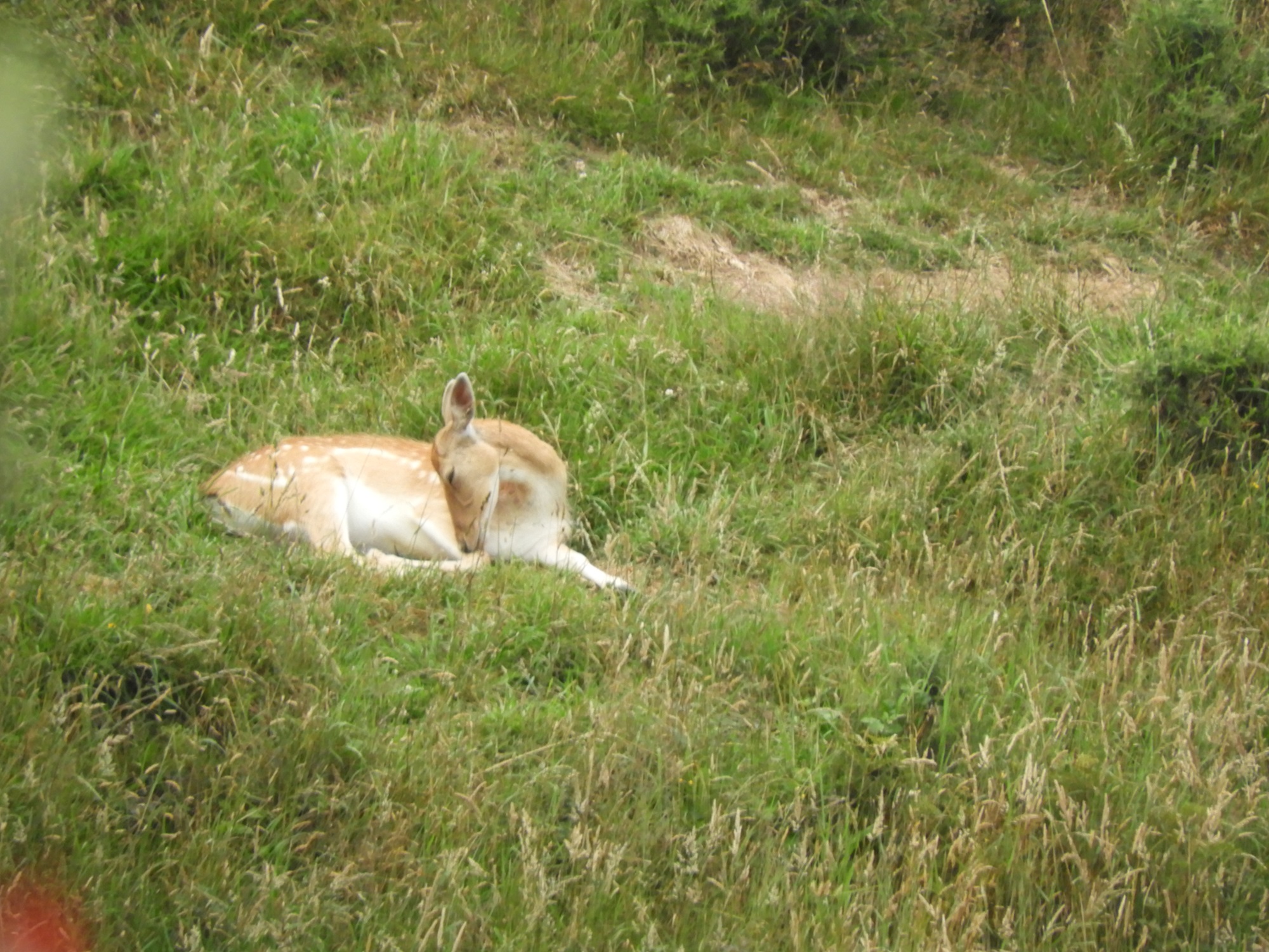 Name:  DSCN1513.JPG
Views: 440
Size:  892.3 KB