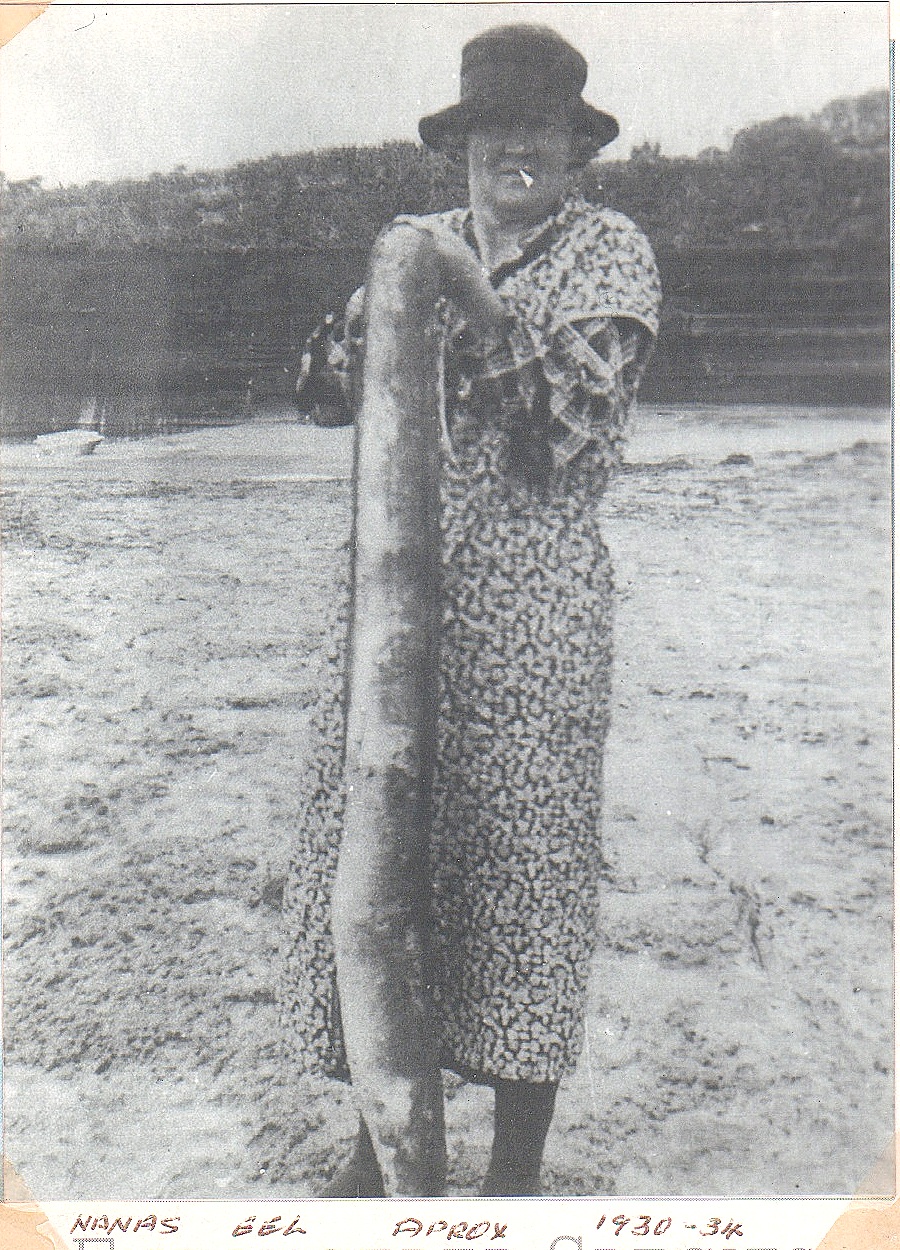 Name:  eel.jpg
Views: 422
Size:  580.3 KB