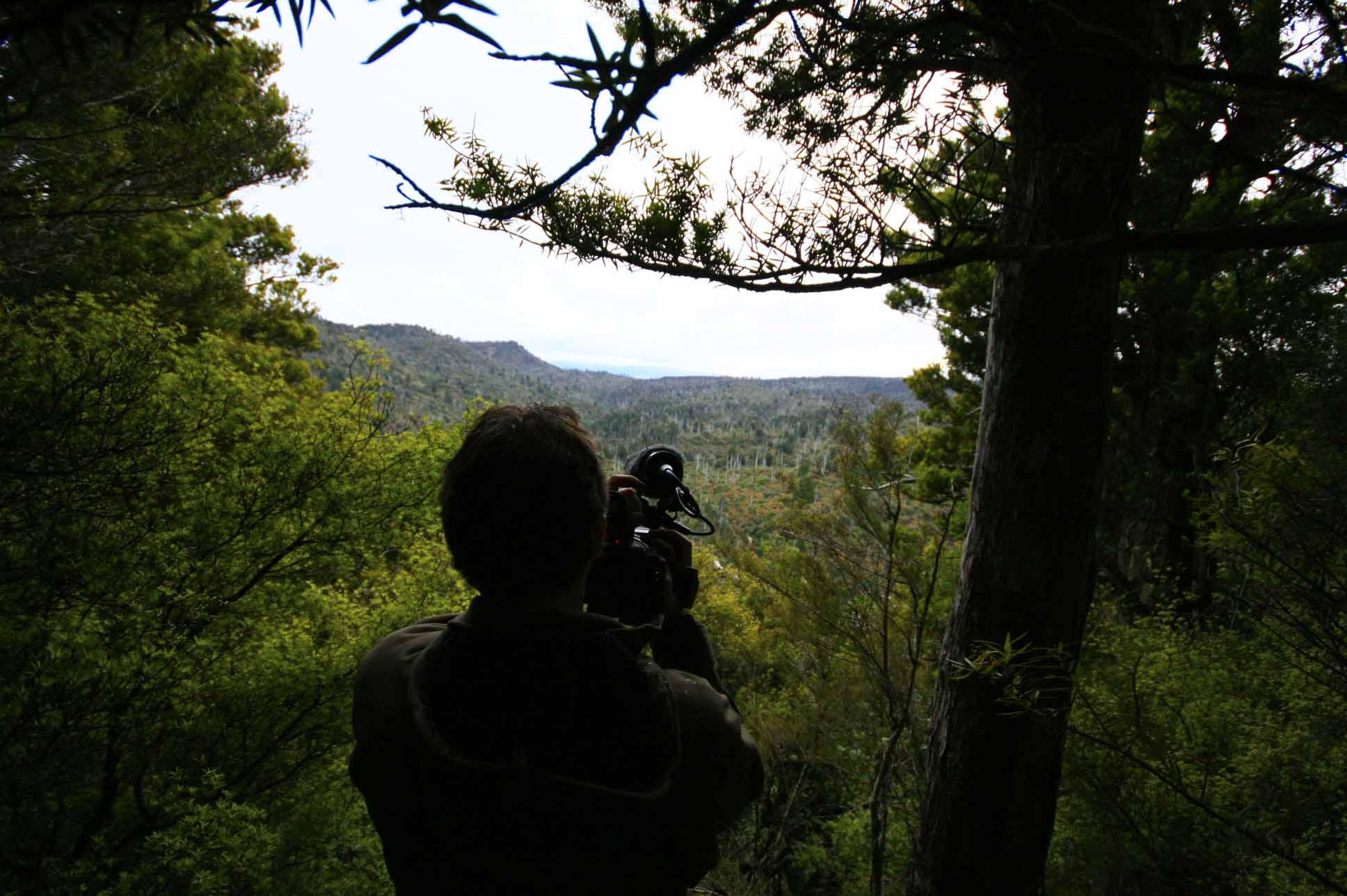 Name:  TAIHAPE BUSH VIEW DARKER - STEVE copy.jpg
Views: 4079
Size:  197.6 KB
