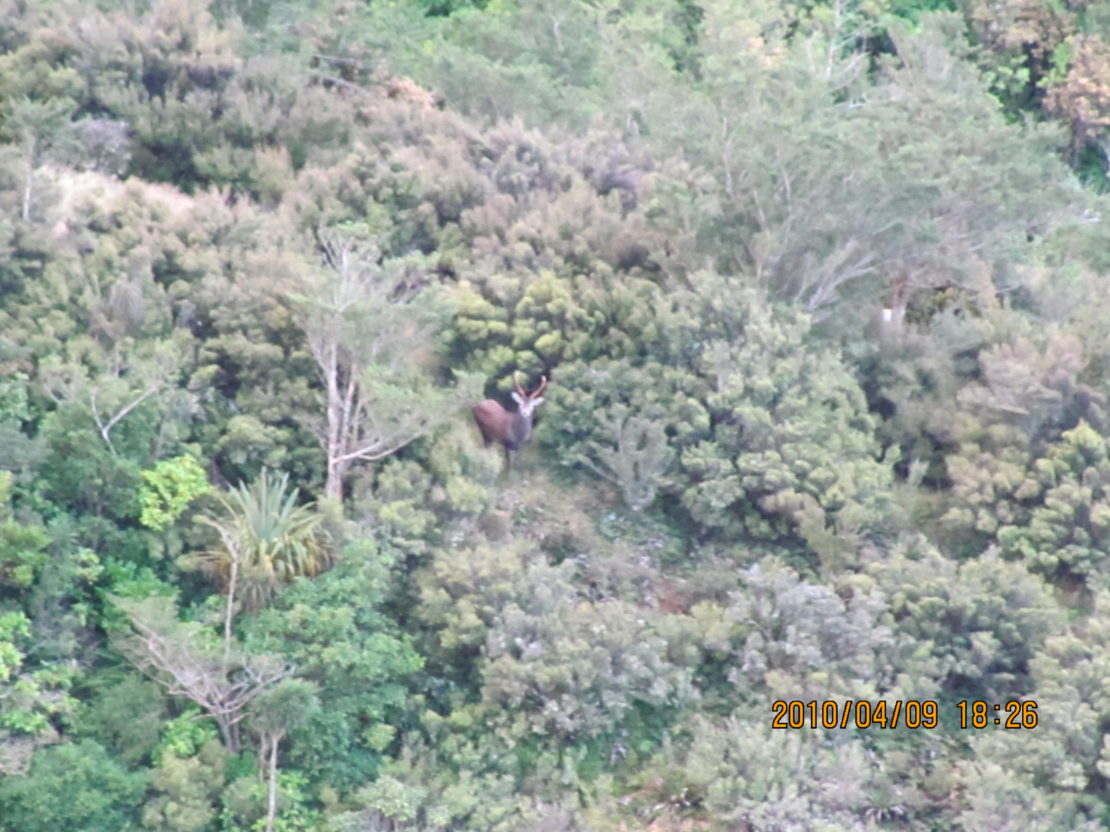 Name:  img_0324.jpg
Views: 402
Size:  880.9 KB