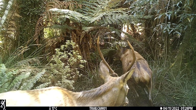 Name:  278139641_997058364529477_414595973832678741_n.jpg
Views: 535
Size:  116.2 KB