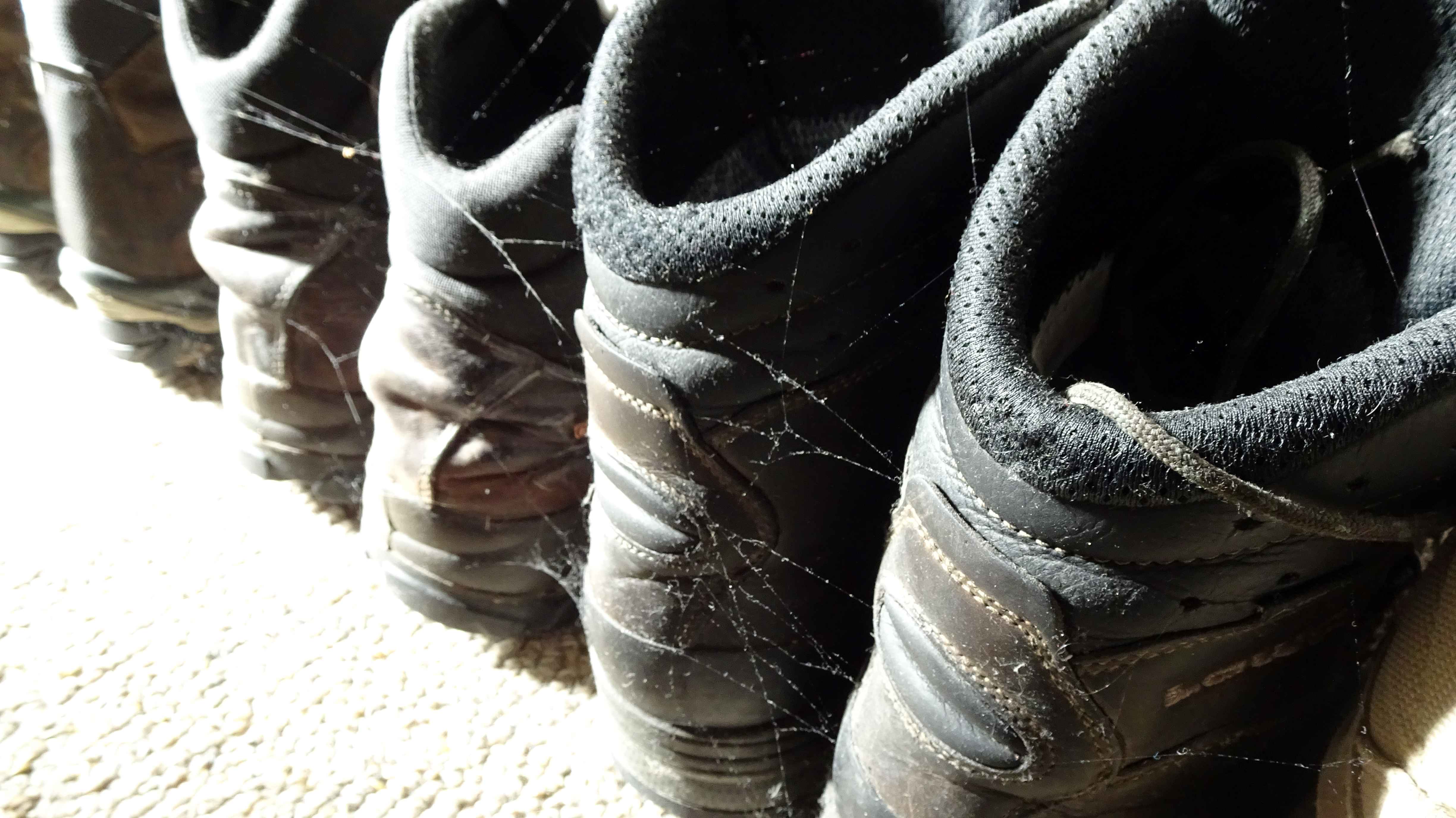Name:  C19 Boots 2.jpg
Views: 690
Size:  667.5 KB