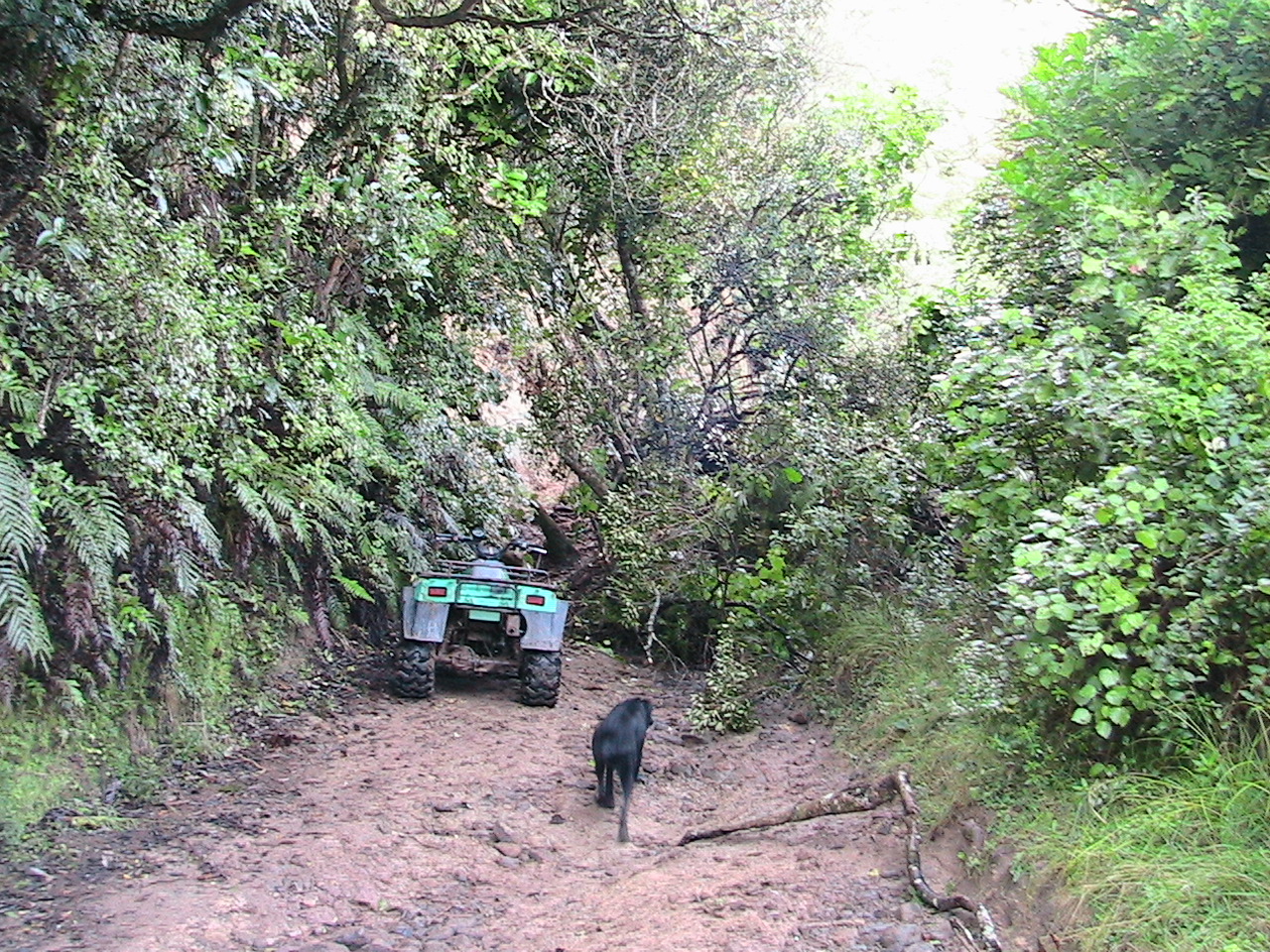 Name:  IMG_1326.JPG
Views: 1158
Size:  758.8 KB