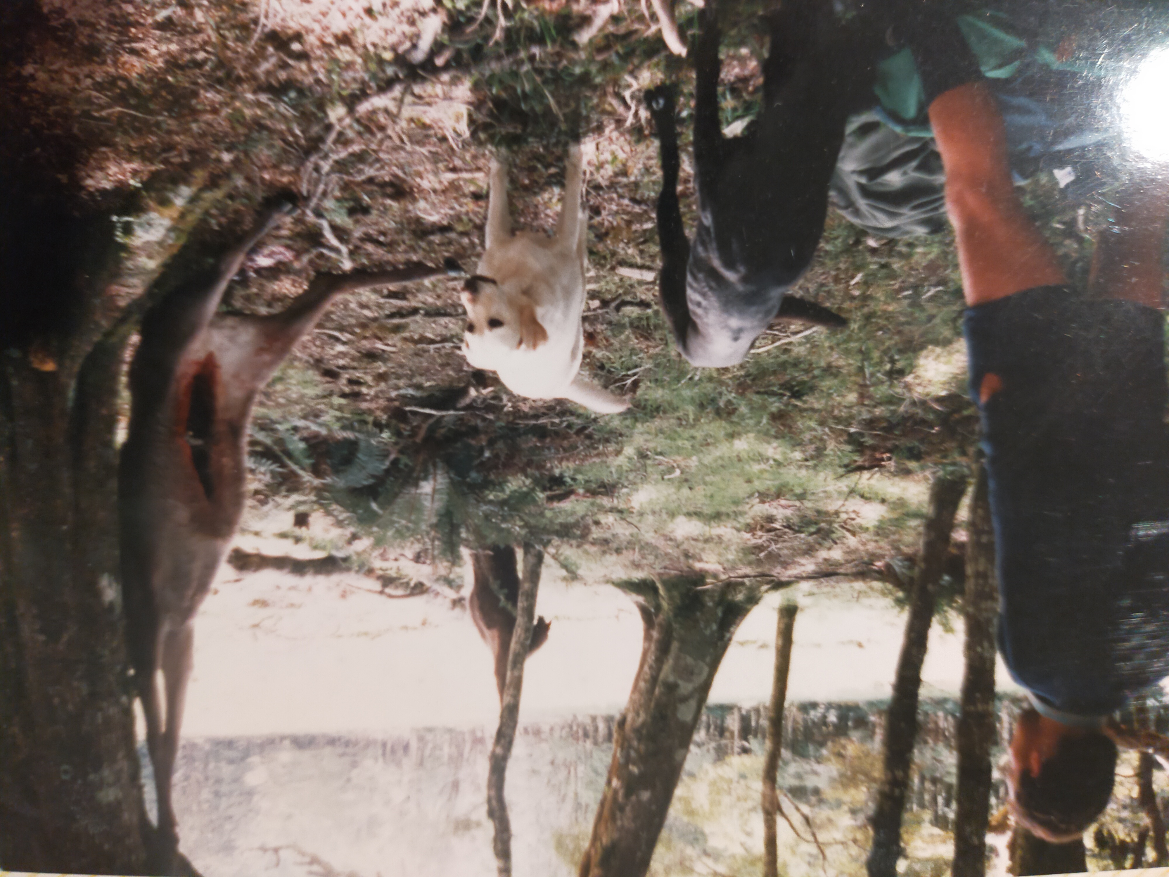 Name:  IMG20240520181519.jpg
Views: 276
Size:  2.50 MB