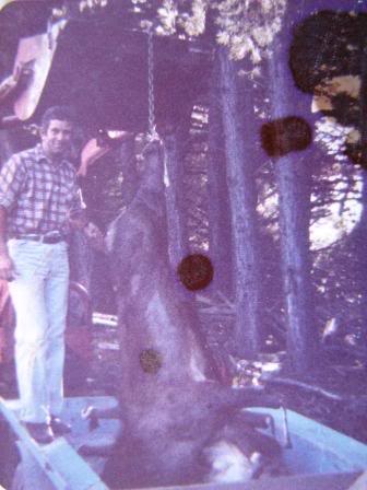 Name:  Picture574-1.jpg
Views: 319
Size:  26.8 KB