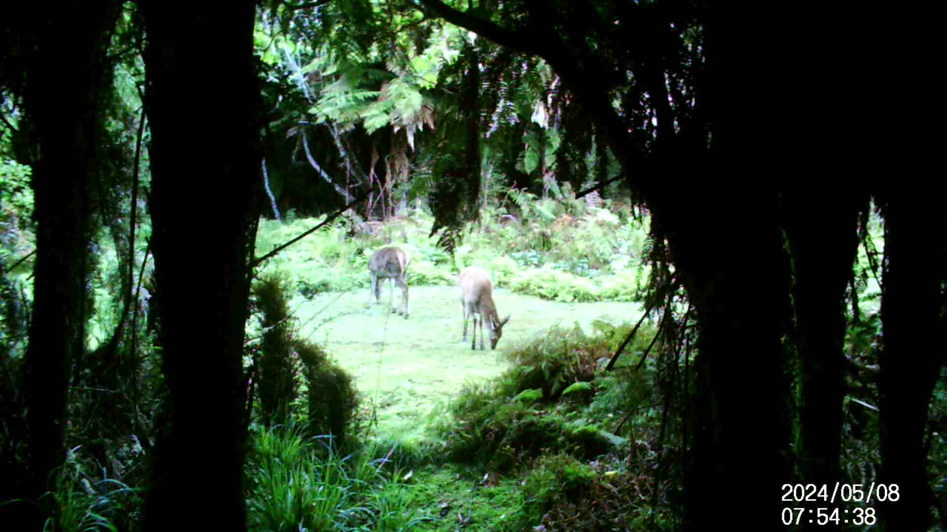 Name:  IMAG0017 - frame at 0m3s.jpg
Views: 260
Size:  227.0 KB