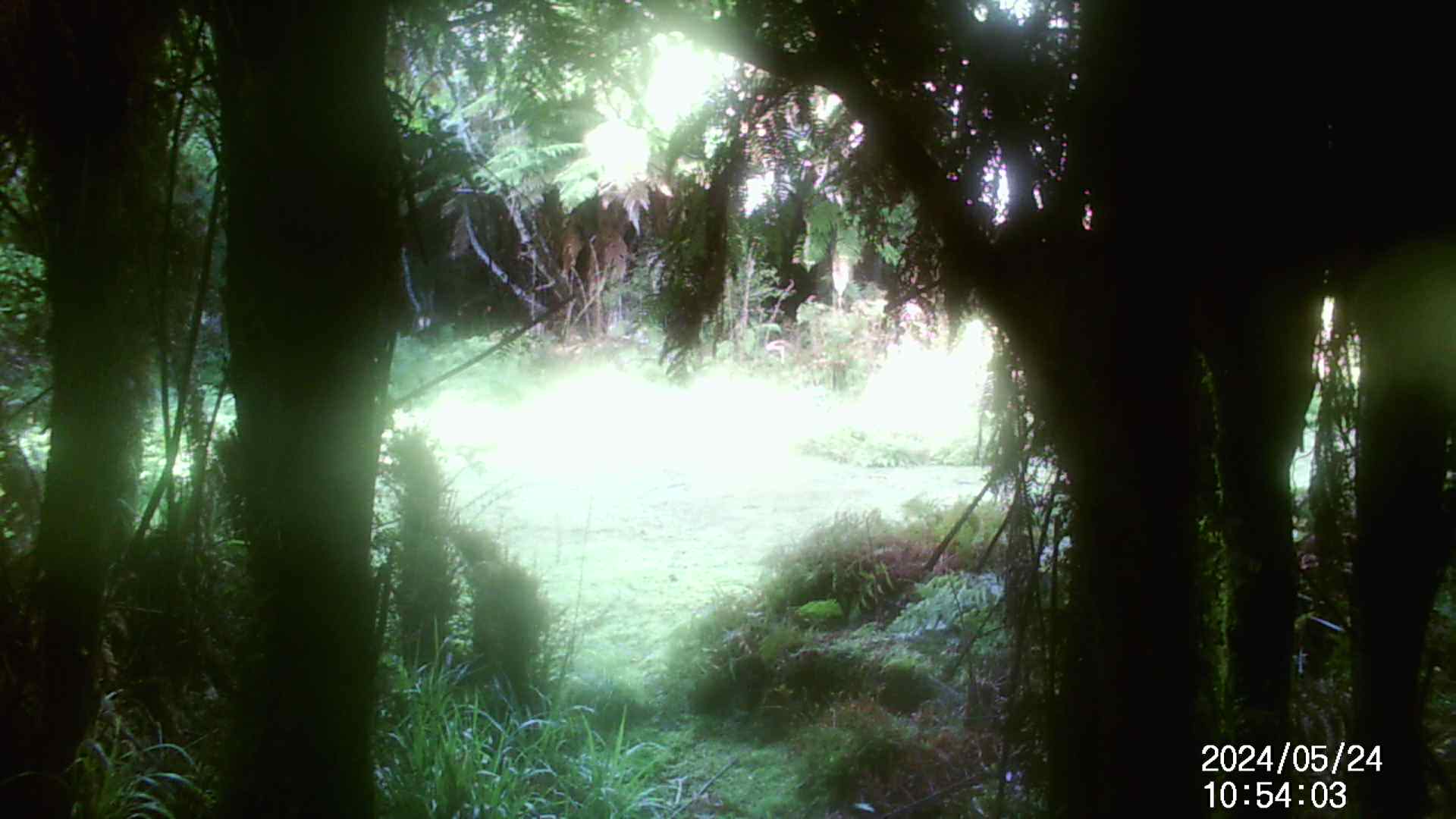 Name:  IMAG0028 - frame at 0m0s.jpg
Views: 258
Size:  187.0 KB