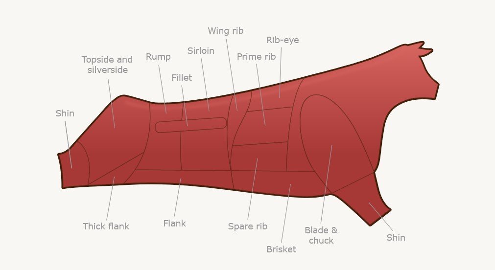 Name:  Beef cuts.jpg
Views: 405
Size:  43.8 KB