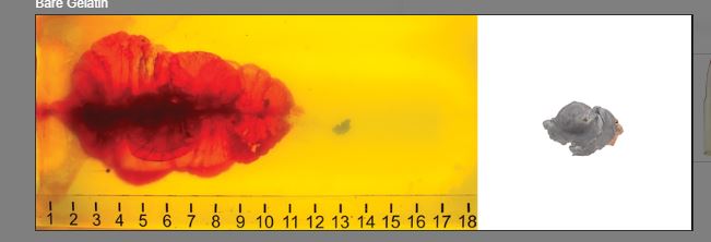 Name:  308 168 ELD.JPG
Views: 245
Size:  18.8 KB