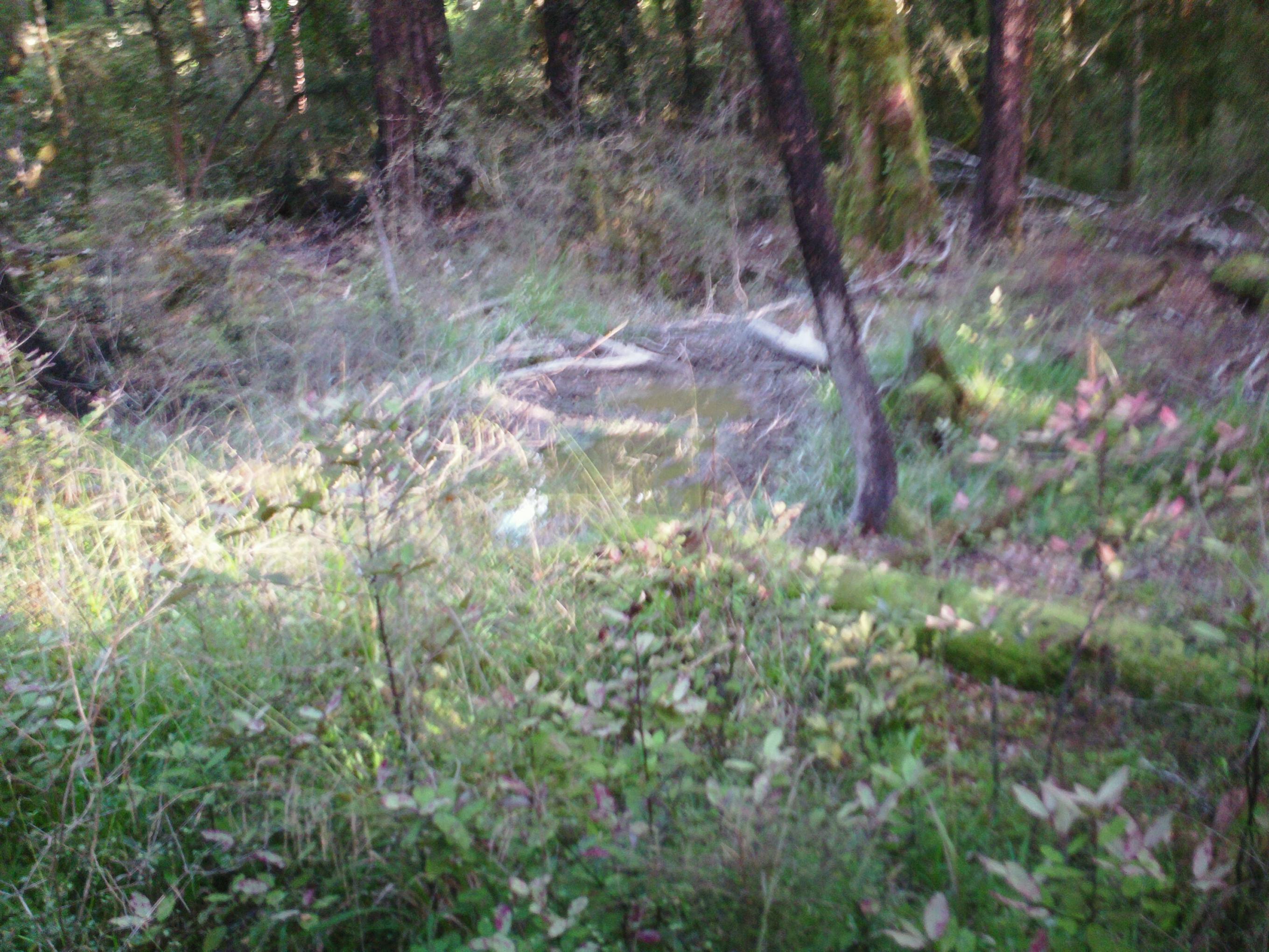 Name:  SAM_0345.jpg
Views: 478
Size:  721.0 KB