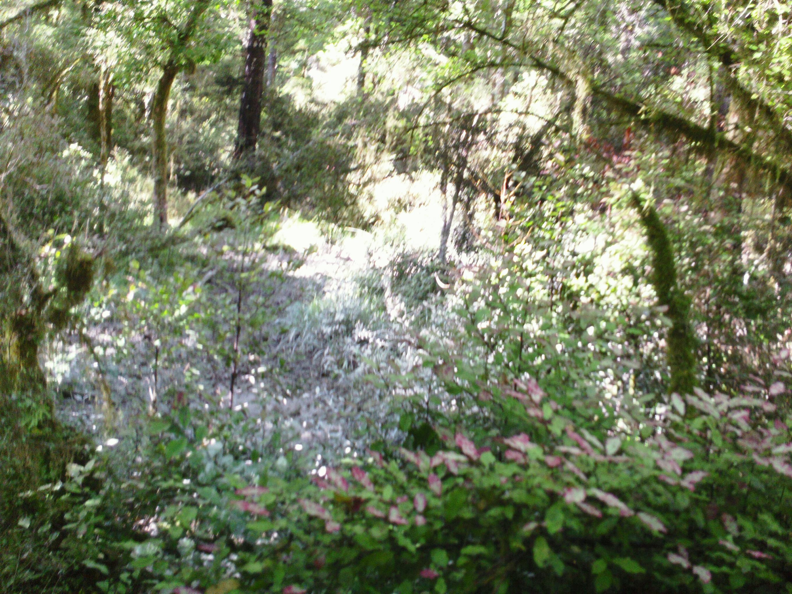 Name:  SAM_0356.jpg
Views: 429
Size:  861.5 KB