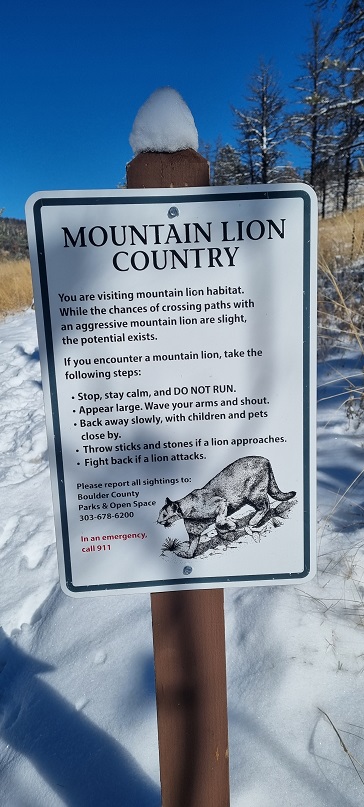 Name:  Colorado Rocky Mountain.jpg
Views: 182
Size:  151.3 KB