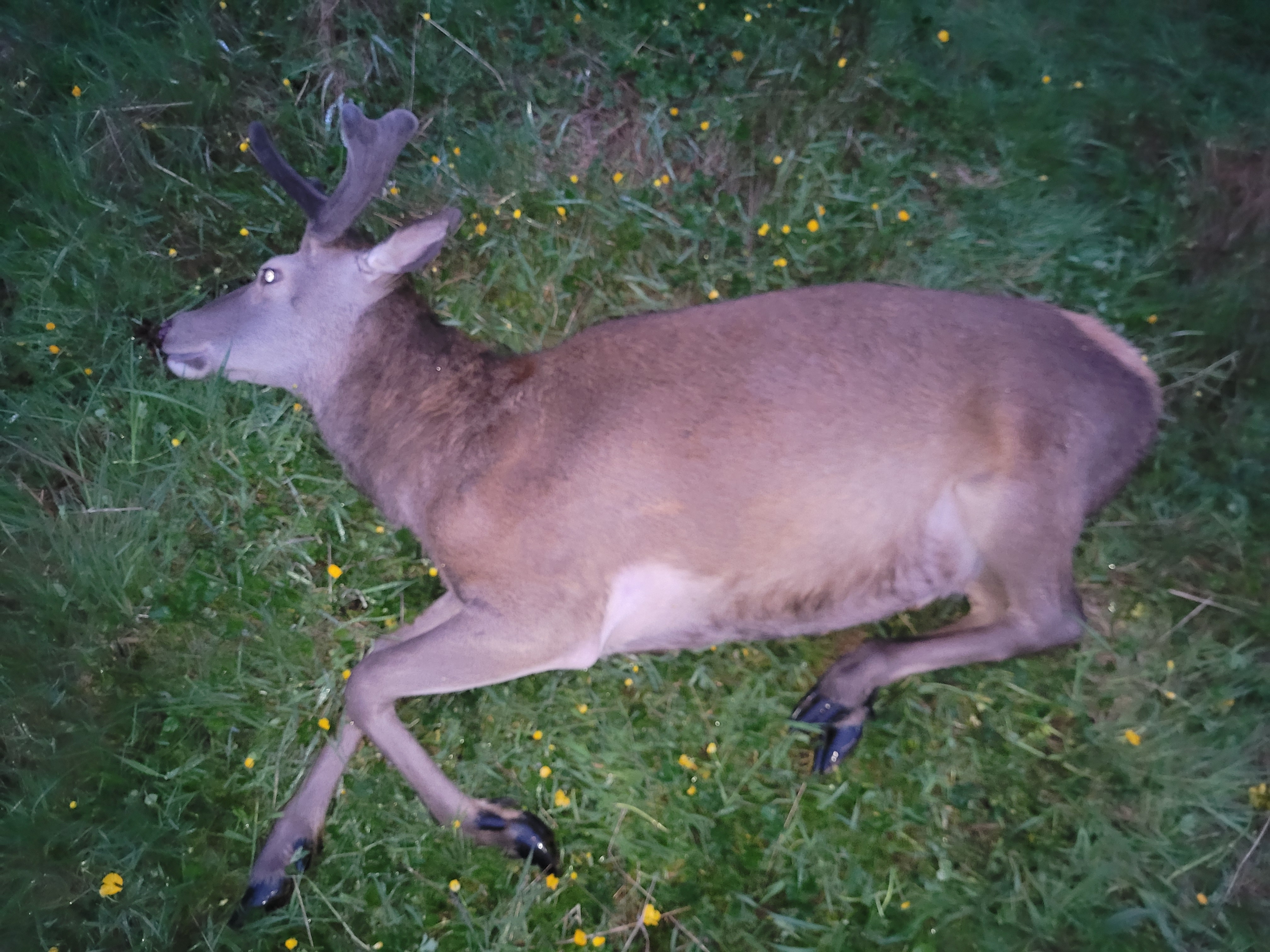 Name:  20241114_054335[1].jpg
Views: 436
Size:  3.45 MB