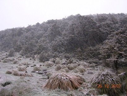 Name:  86 Ruahine Walkabout Xmas 2007.jpg
Views: 379
Size:  75.2 KB