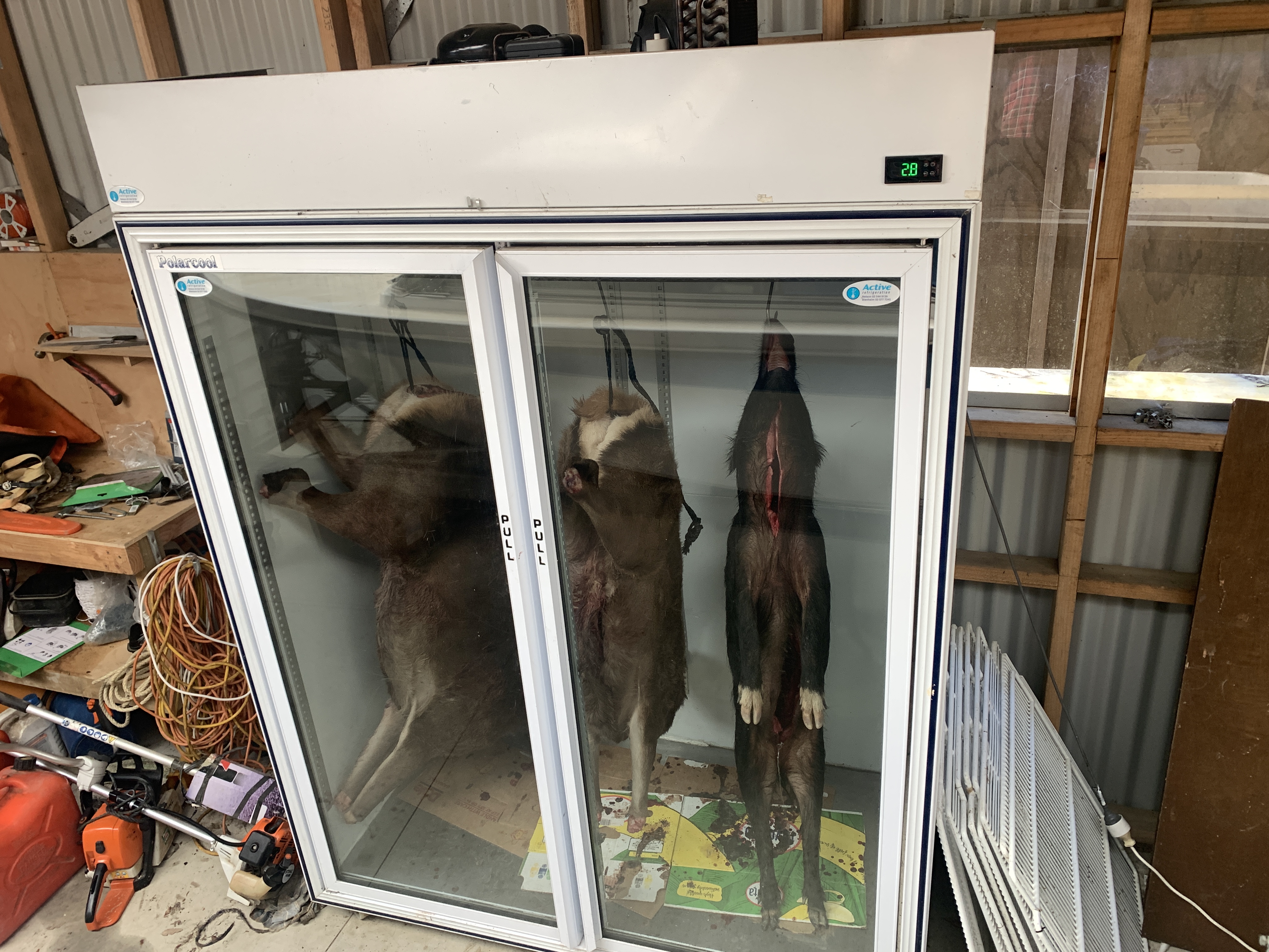 Name:  chiller.JPG
Views: 158
Size:  3.75 MB