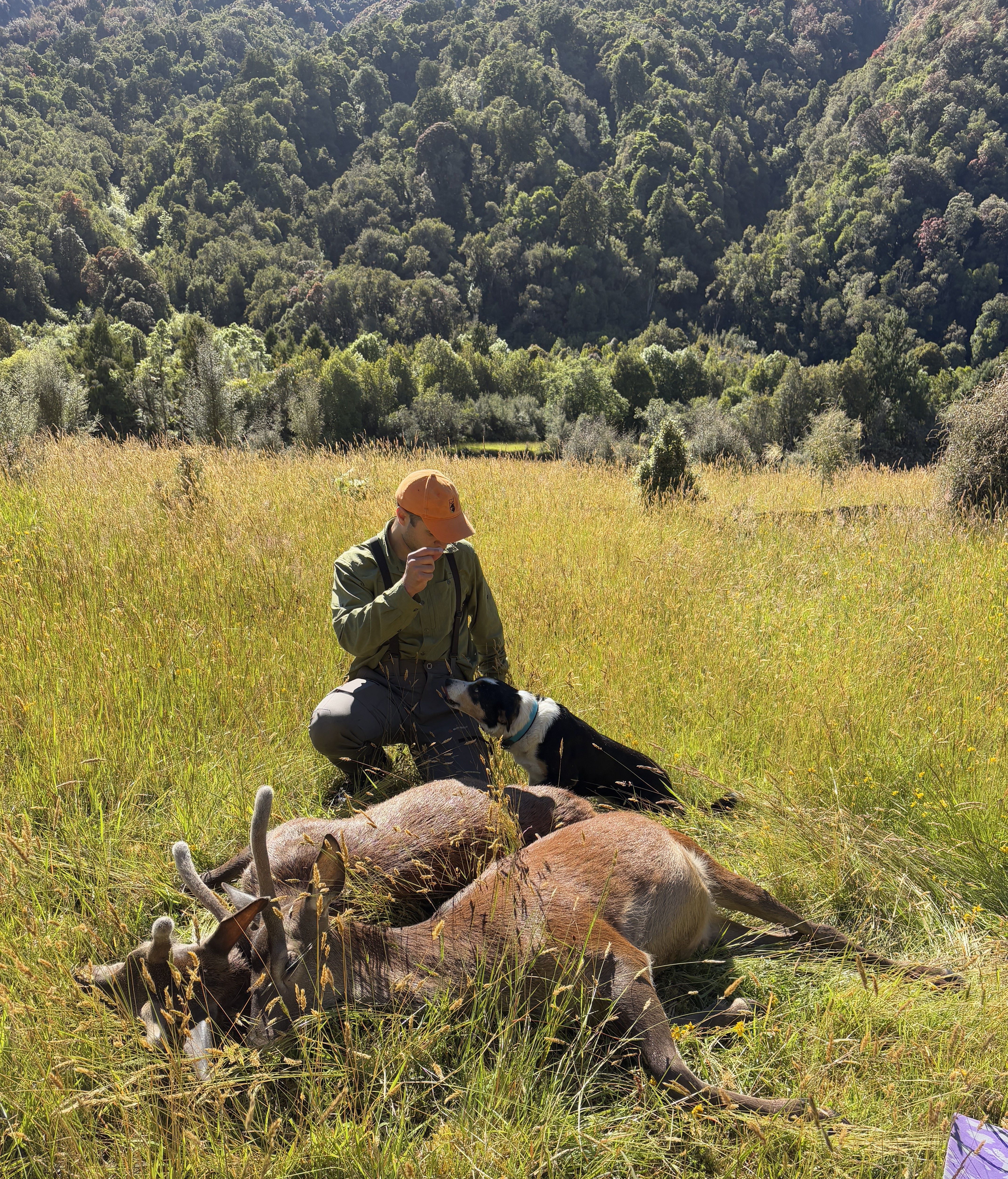 Name:  two deer.JPG
Views: 456
Size:  5.86 MB