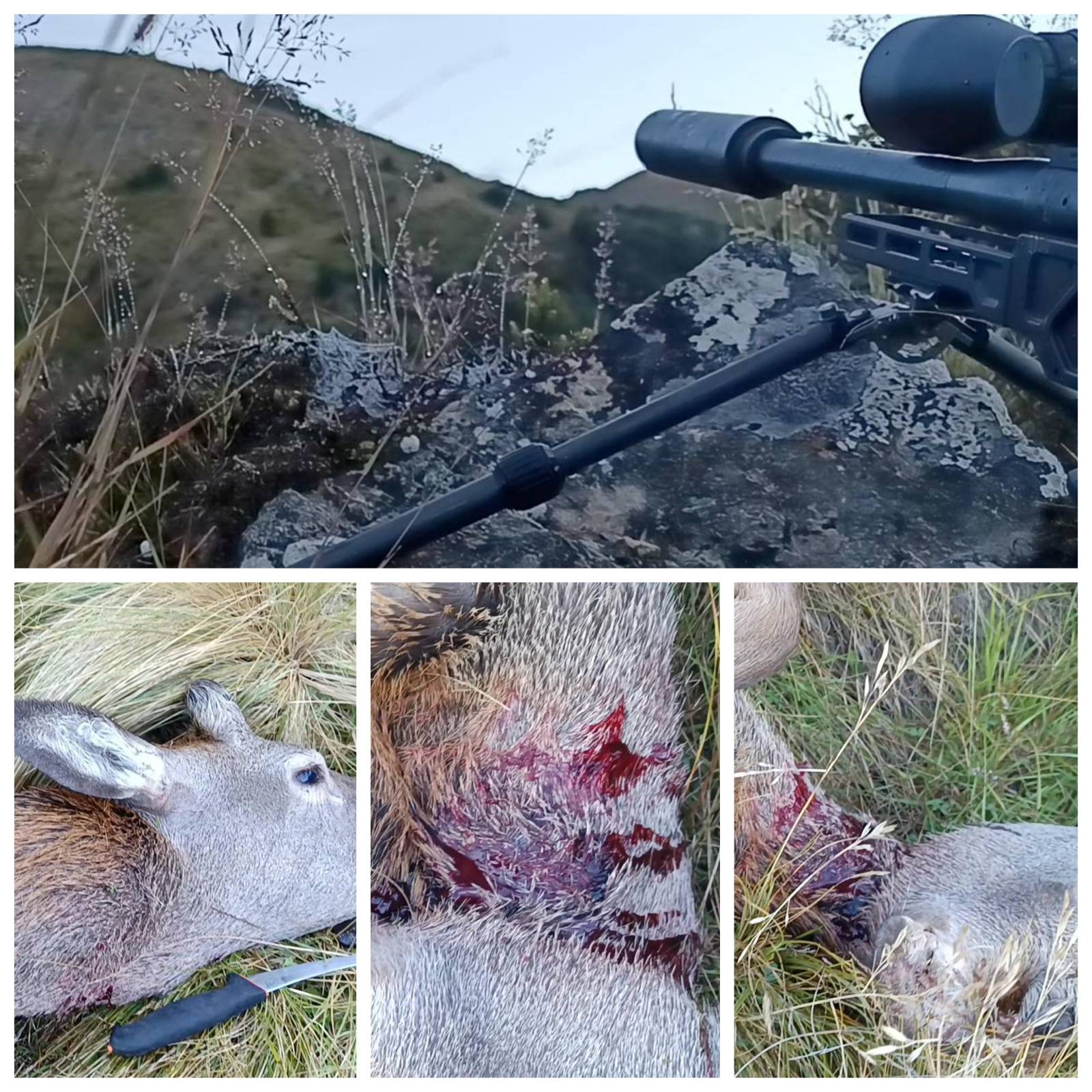 Name:  223OnDeer-TripReport2.jpeg.jpg.jpeg
Views: 471
Size:  376.6 KB