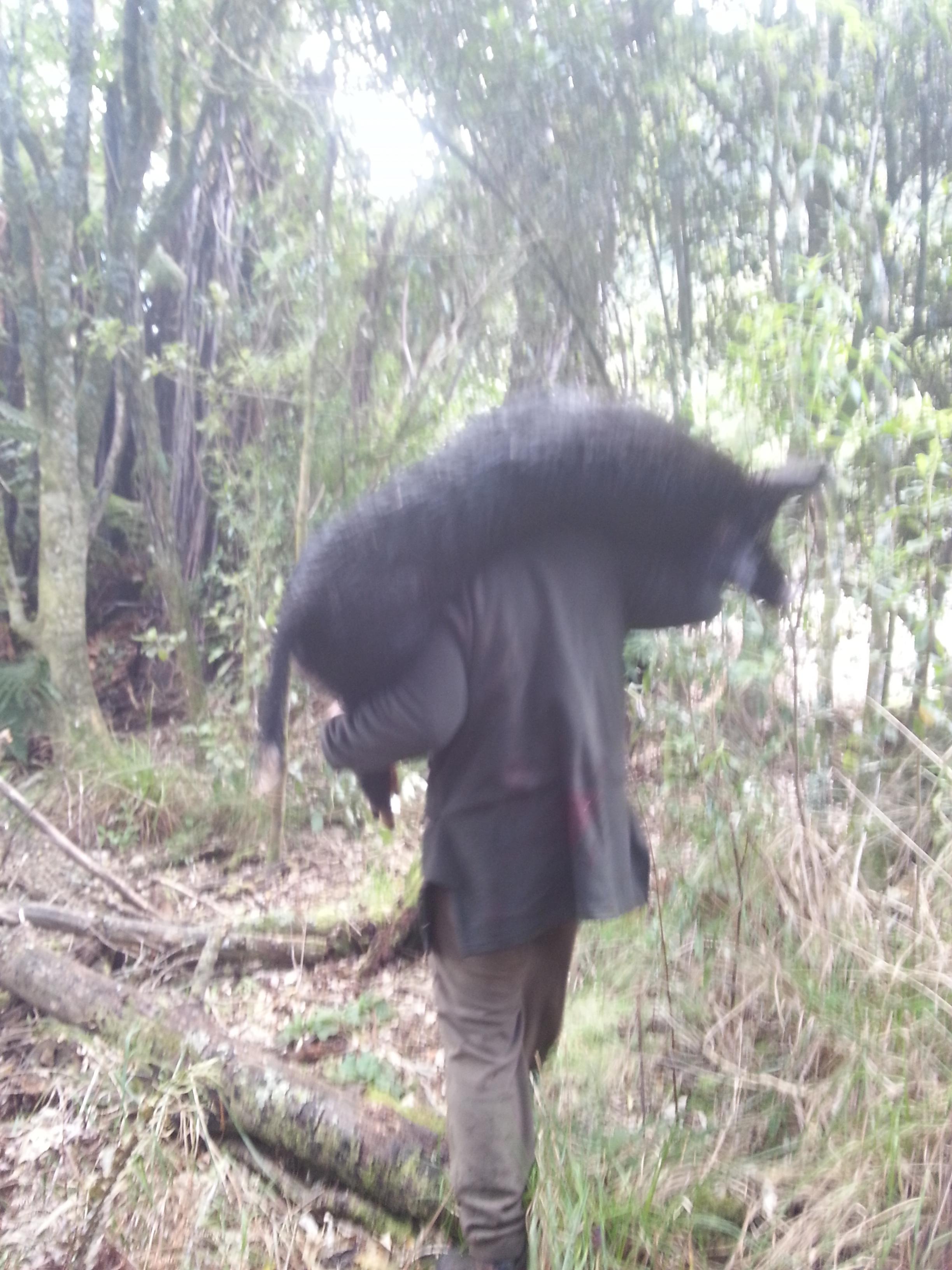 Name:  20140717_102658.jpg
Views: 869
Size:  648.4 KB