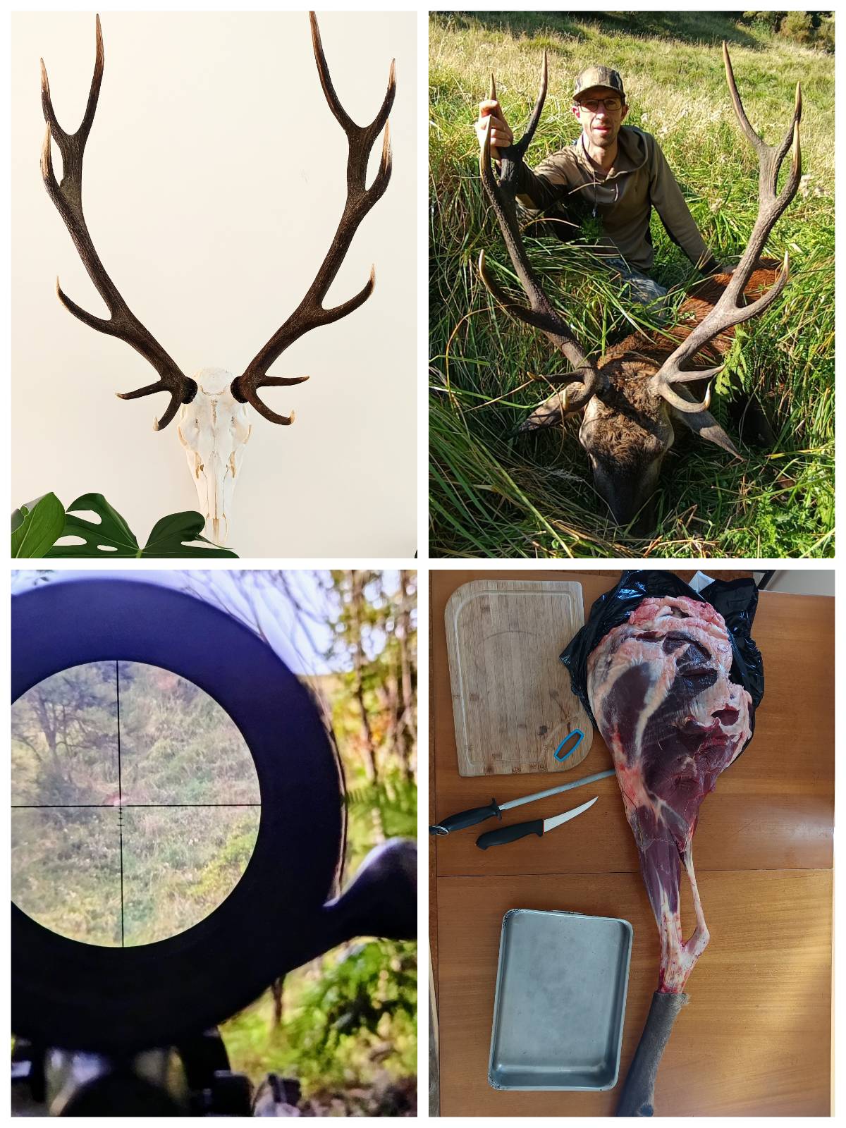 Name:  BigDeer2025-Collage.jpeg
Views: 740
Size:  270.3 KB