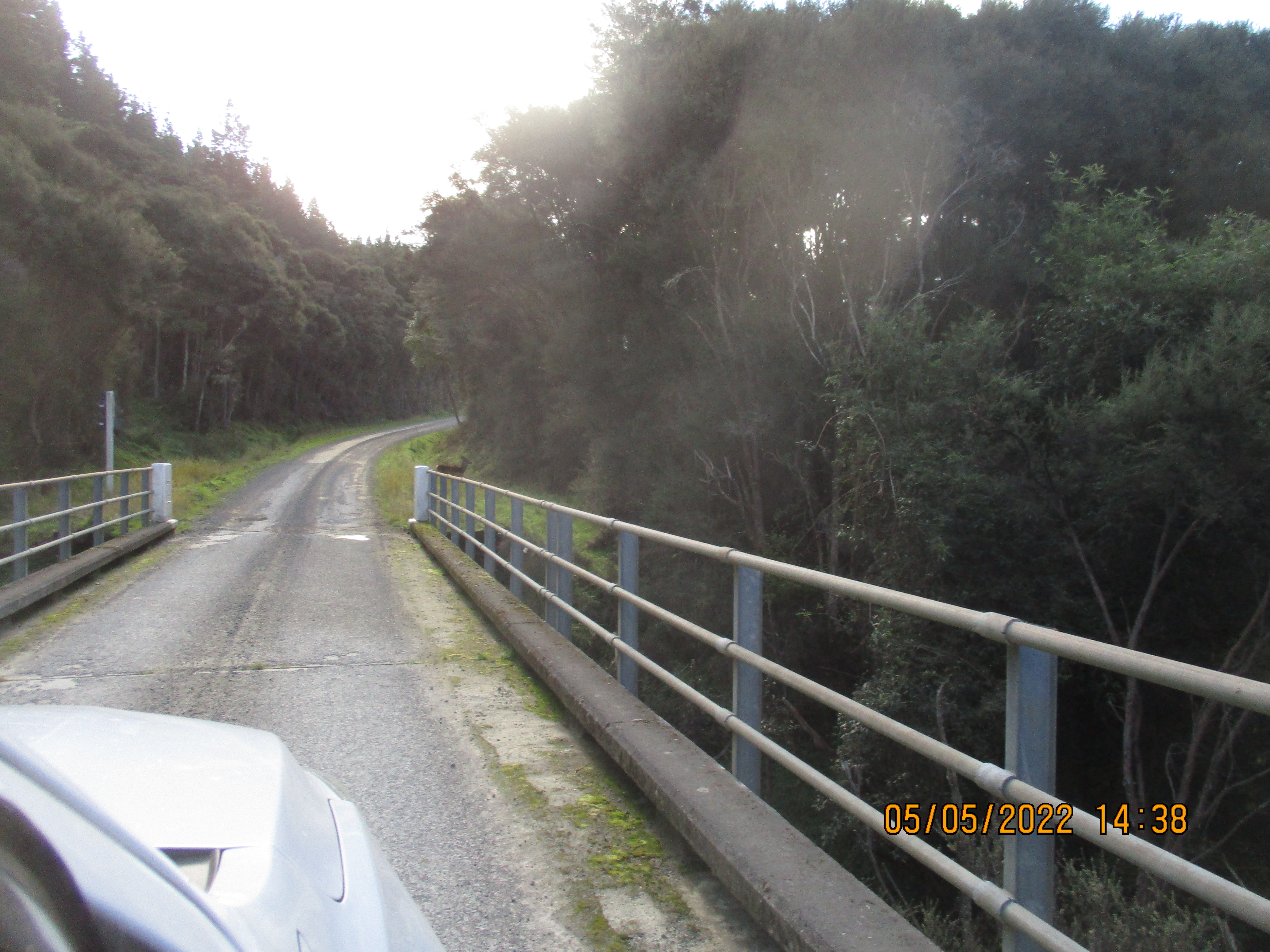 Name:  IMG_5474.JPG
Views: 853
Size:  4.69 MB