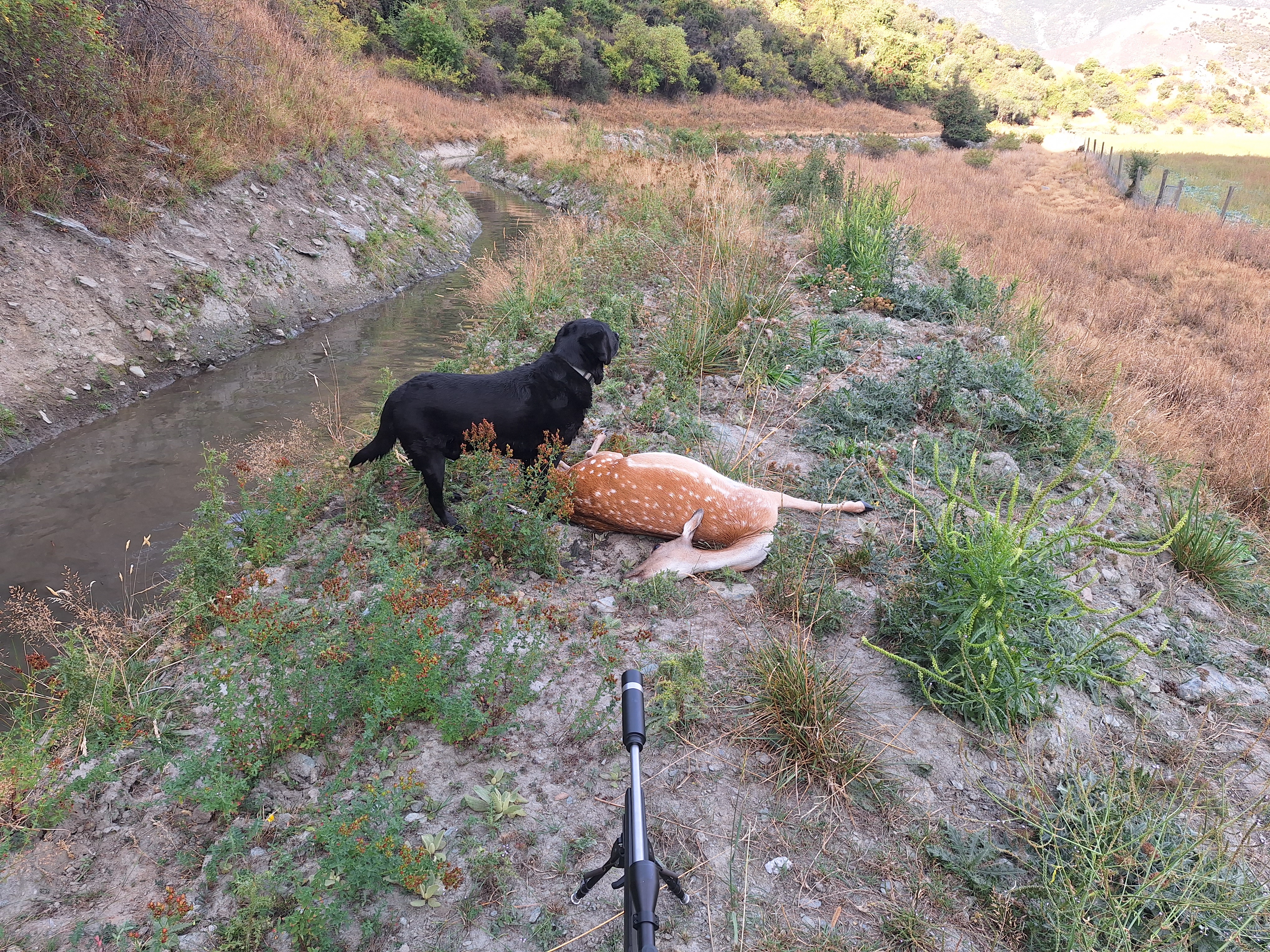 Name:  20250310_181820.jpg
Views: 543
Size:  7.47 MB