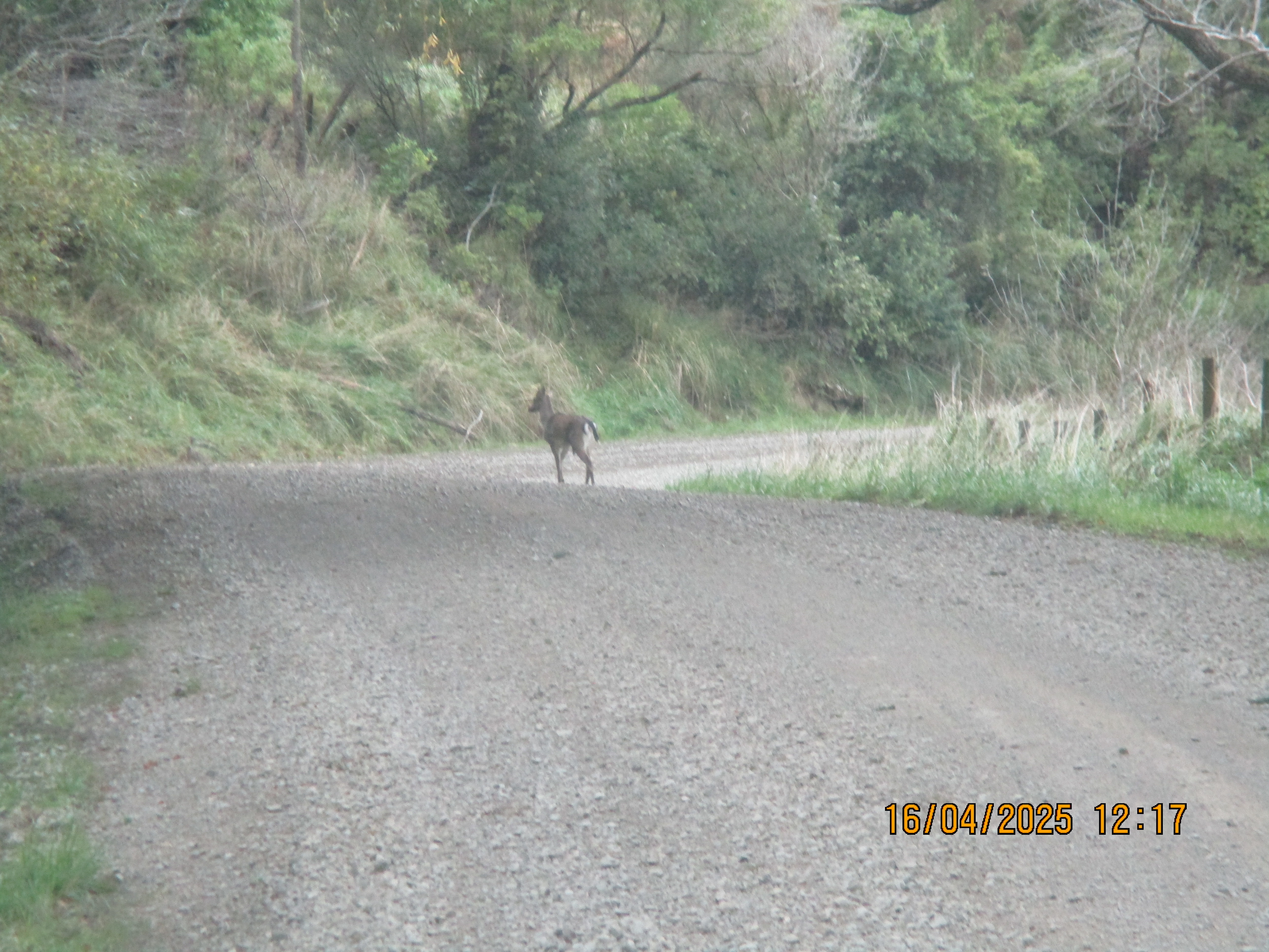 Name:  IMG_7022.JPG
Views: 229
Size:  6.09 MB