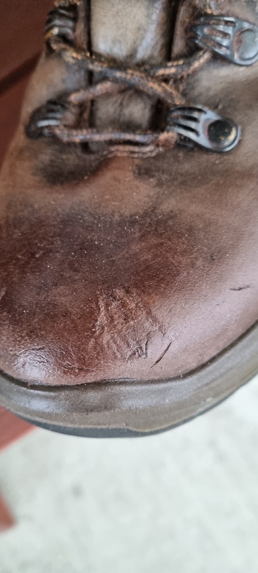 Name:  Rat Damage 1.jpg
Views: 86
Size:  113.7 KB