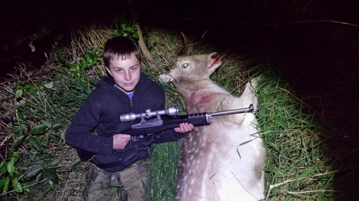 Name:  deer 2 (Copy).jpg
Views: 478
Size:  115.3 KB