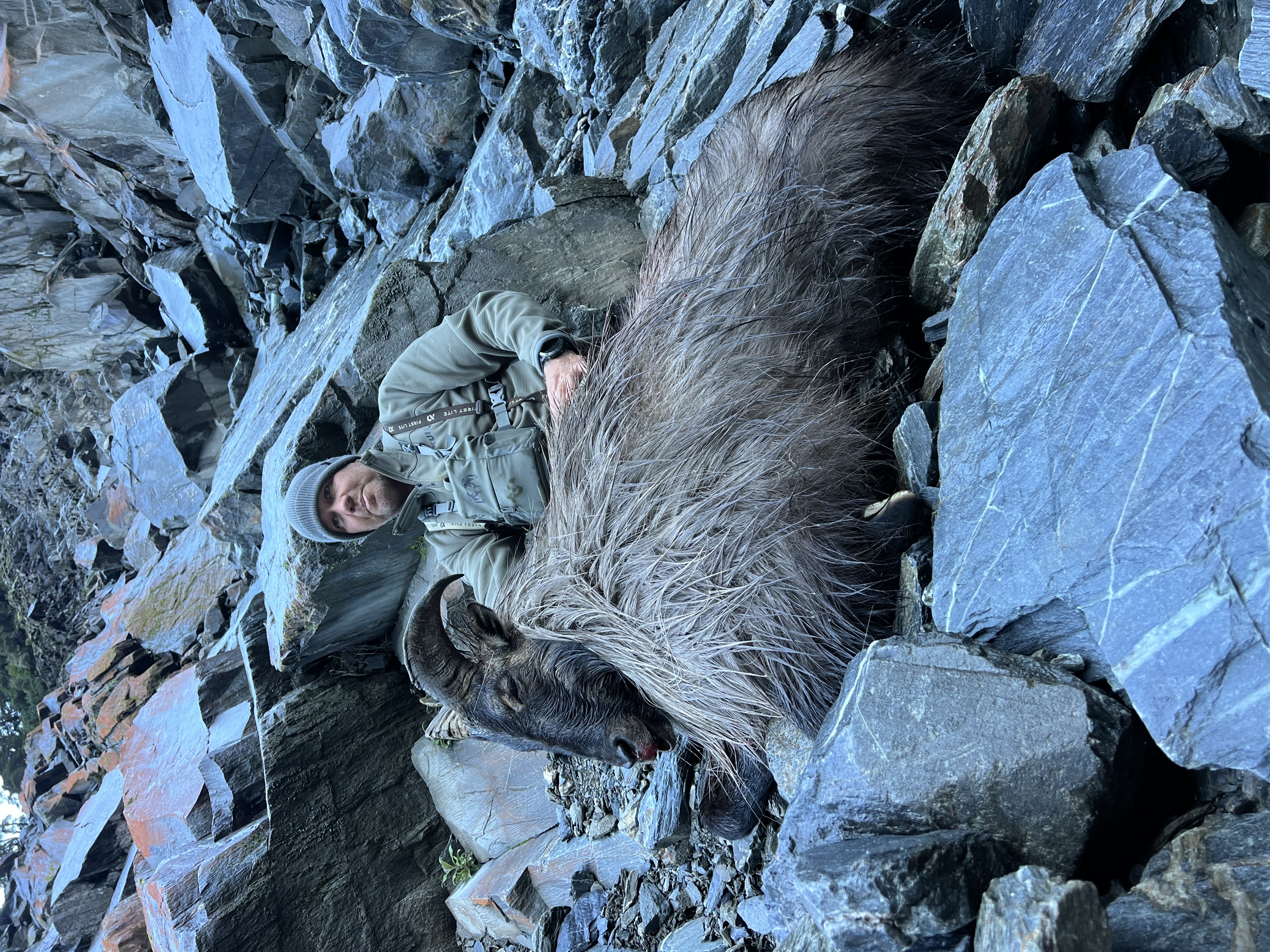 Name:  IMG_1453.jpeg
Views: 970
Size:  5.13 MB