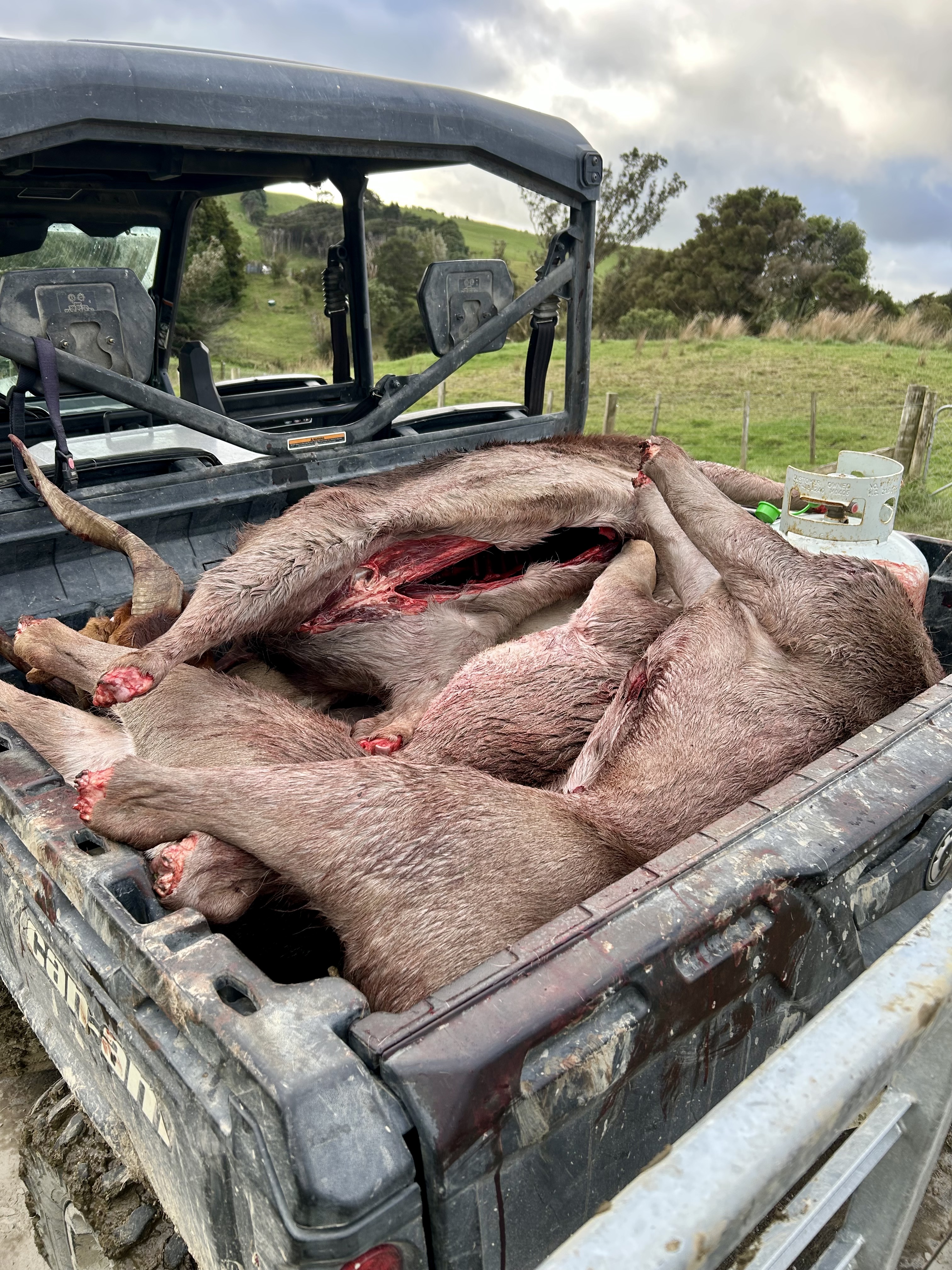 Name:  IMG_2670.jpeg
Views: 1202
Size:  4.03 MB