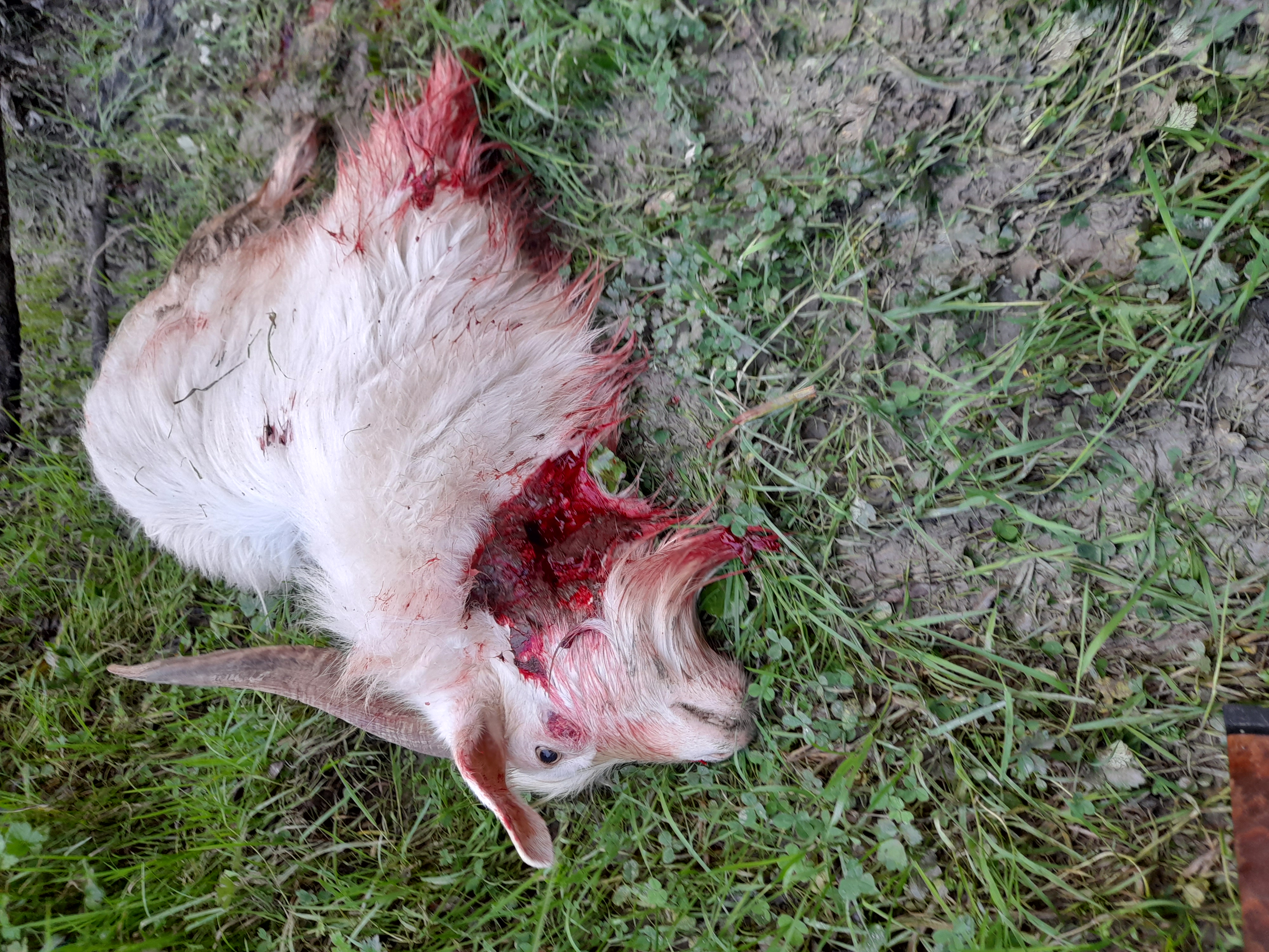 Name:  20250531_161210.jpg
Views: 1065
Size:  3.48 MB