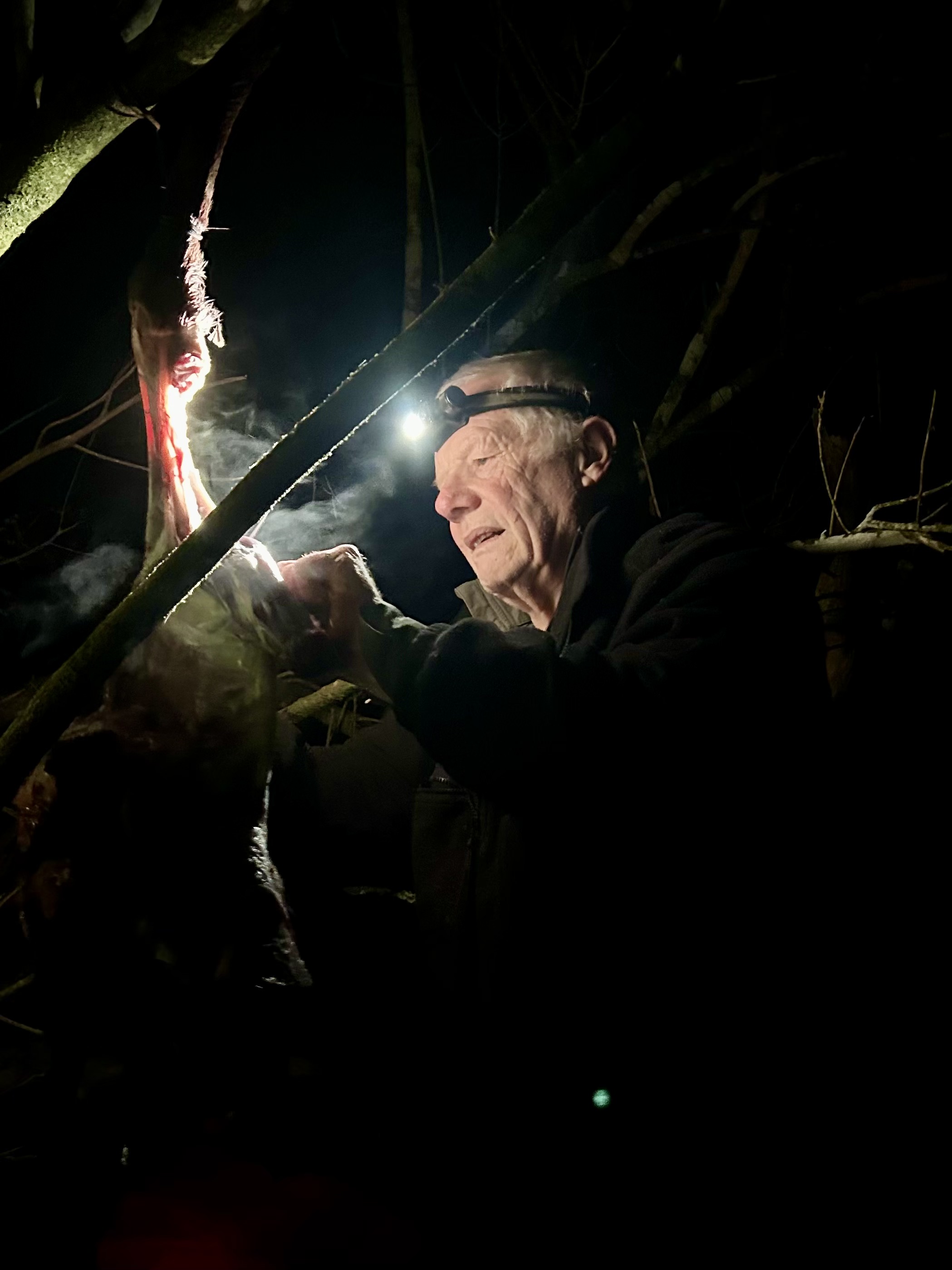 Name:  FullSizeRender 4.jpeg
Views: 225
Size:  492.9 KB