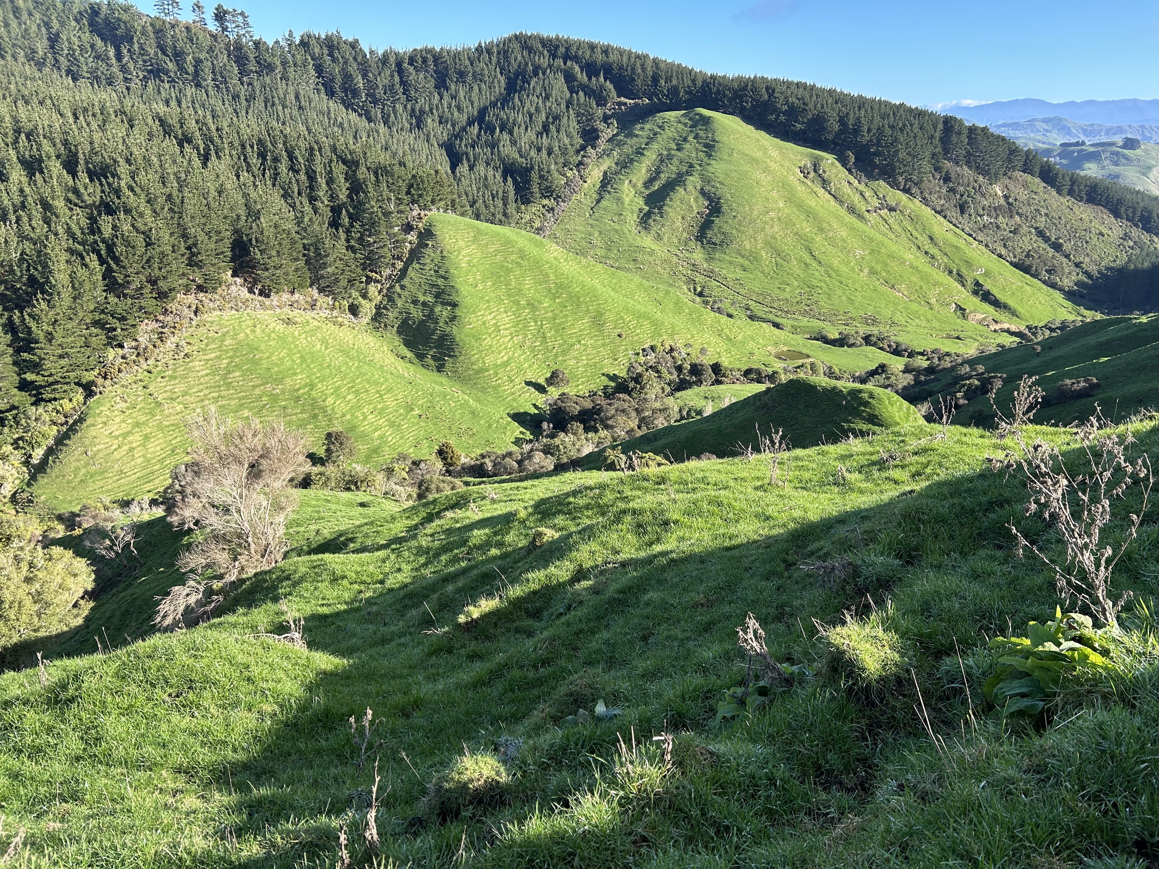 Name:  IMG_2862.jpeg
Views: 533
Size:  6.62 MB