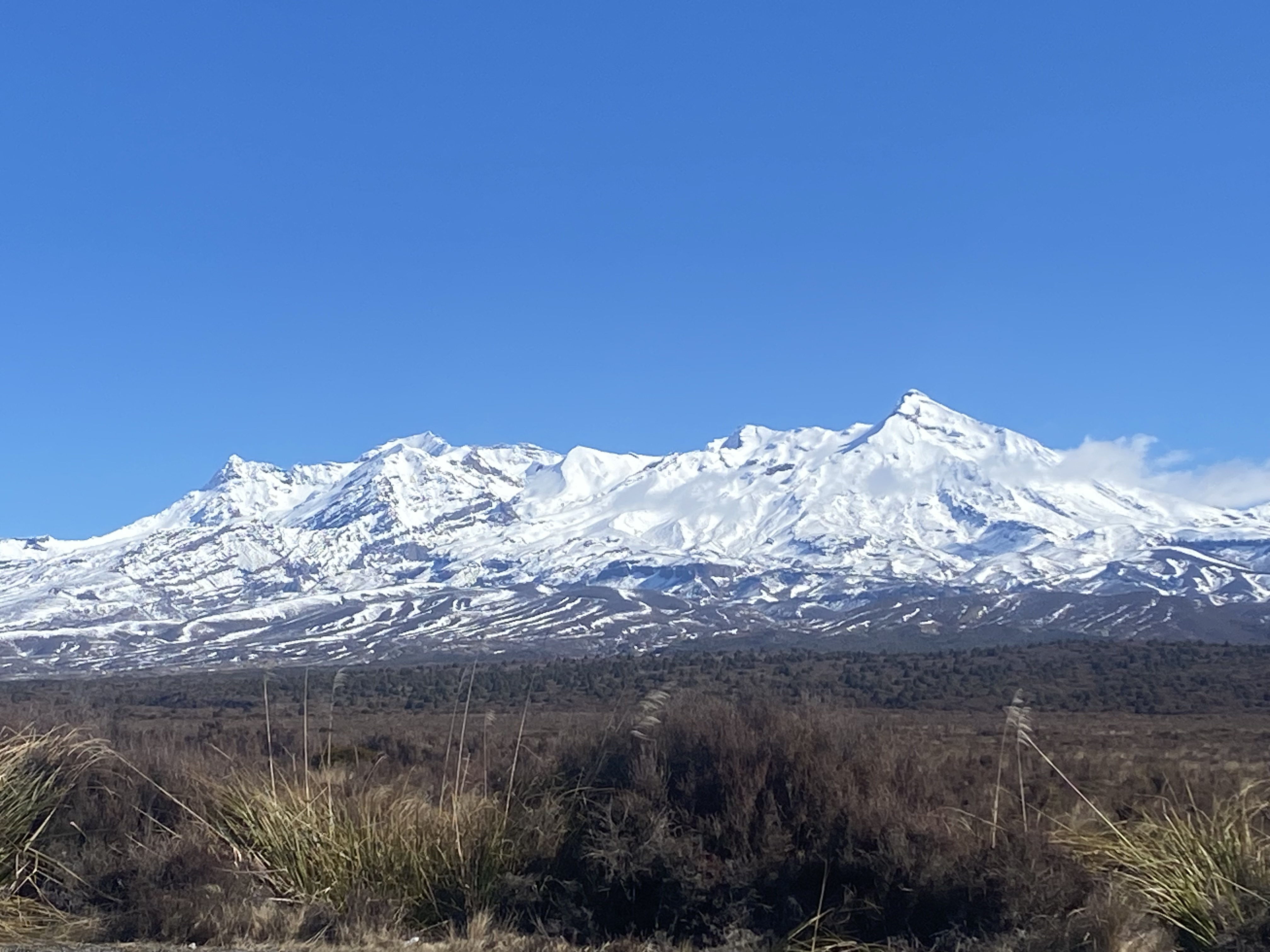 Name:  IMG_5786.jpeg
Views: 306
Size:  1.39 MB